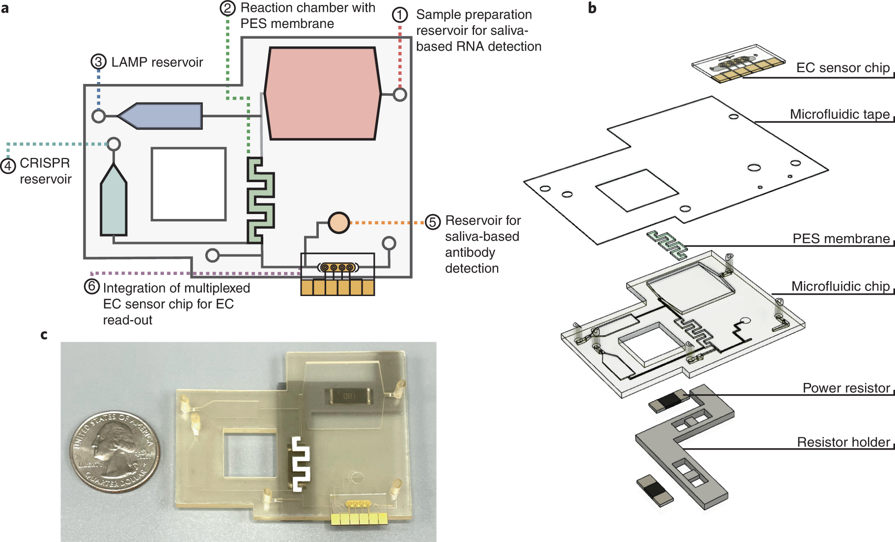Smart laser cutter system detects different materials, MIT News