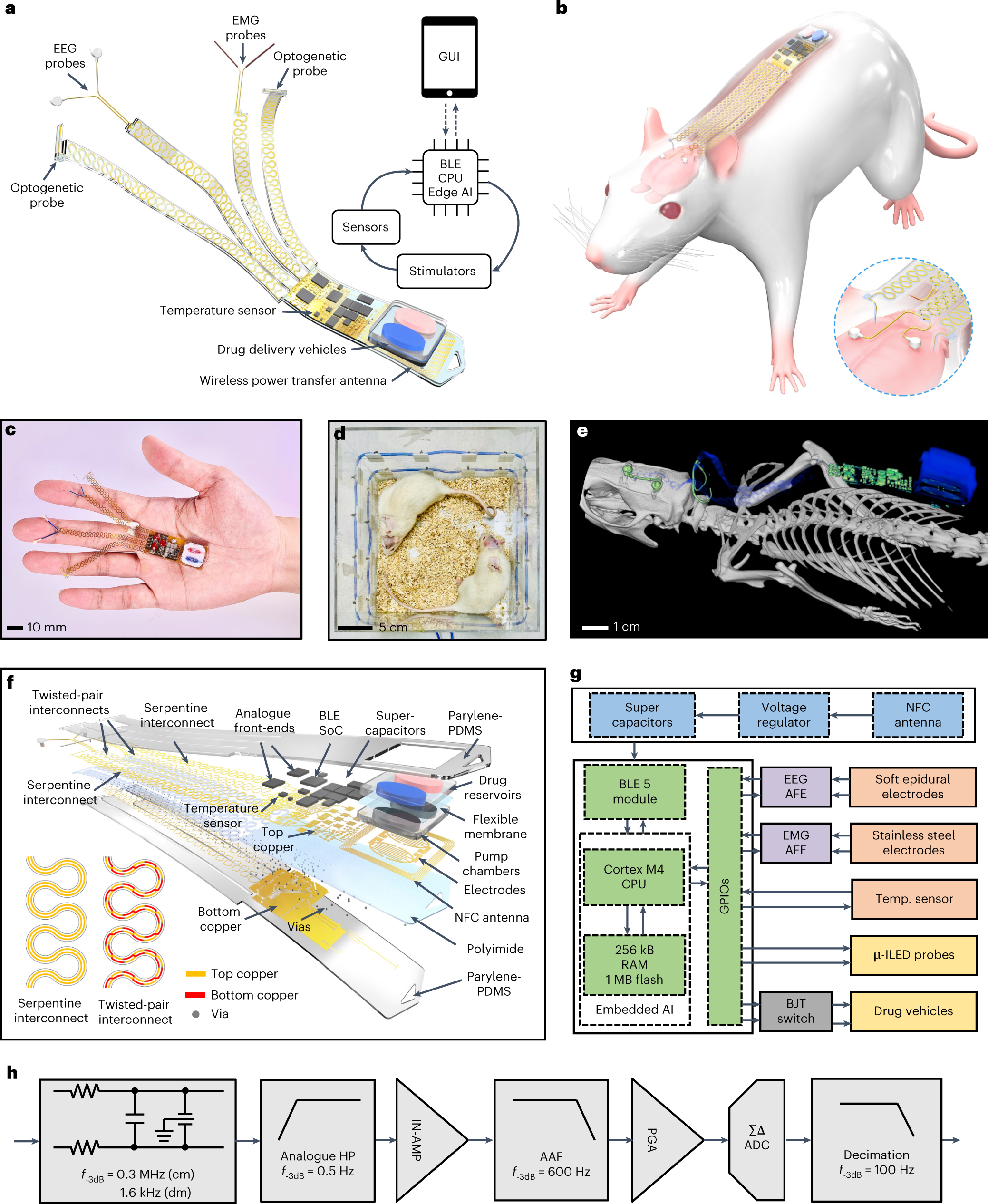 A wireless and battery-less implant for multimodal closed-loop  neuromodulation in small animals
