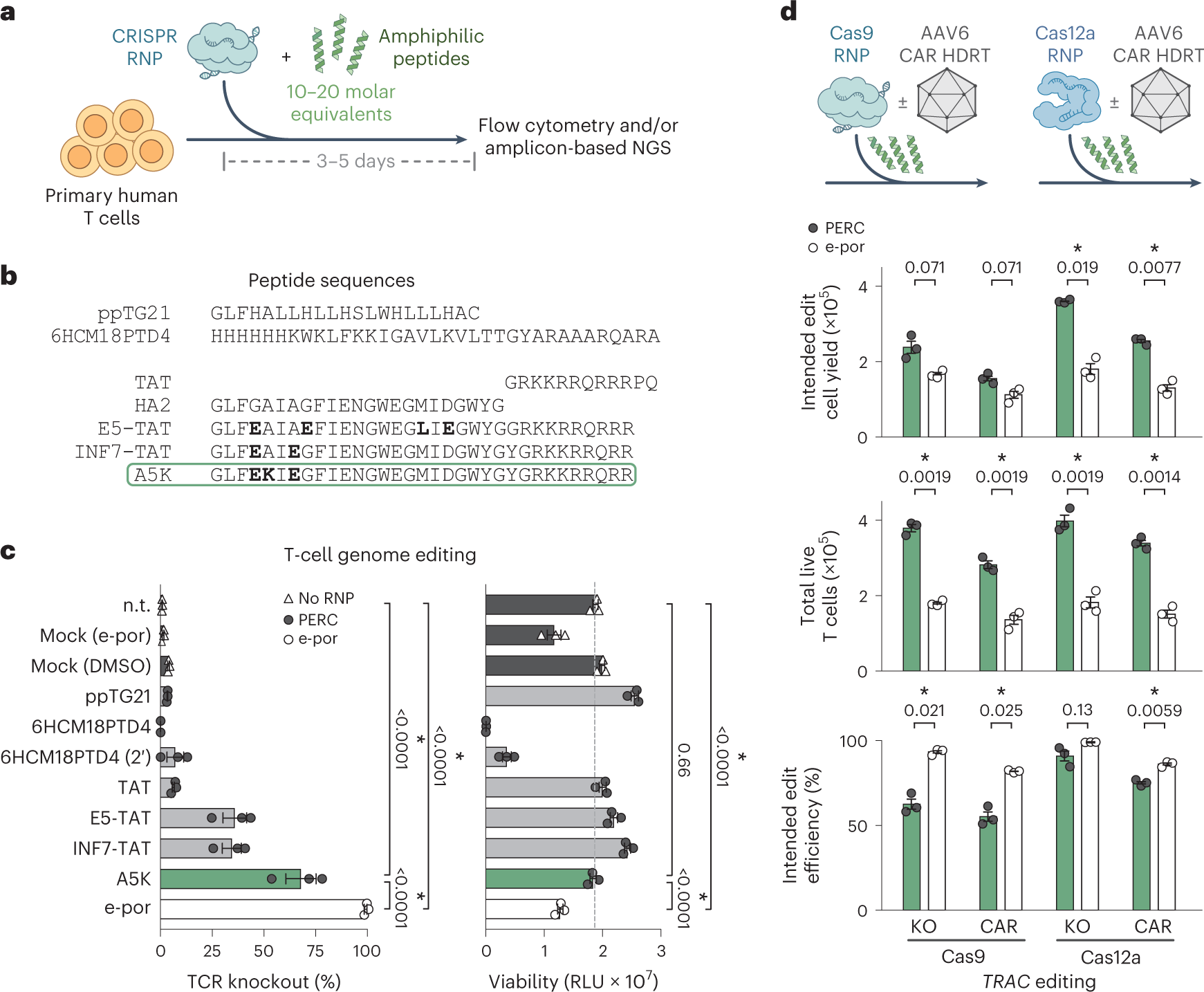 The CRISPR-Cas12a Platform for Accurate Genome Editing, Gene Disruption,  and Efficient Transgene Integration in Human Immune Cells