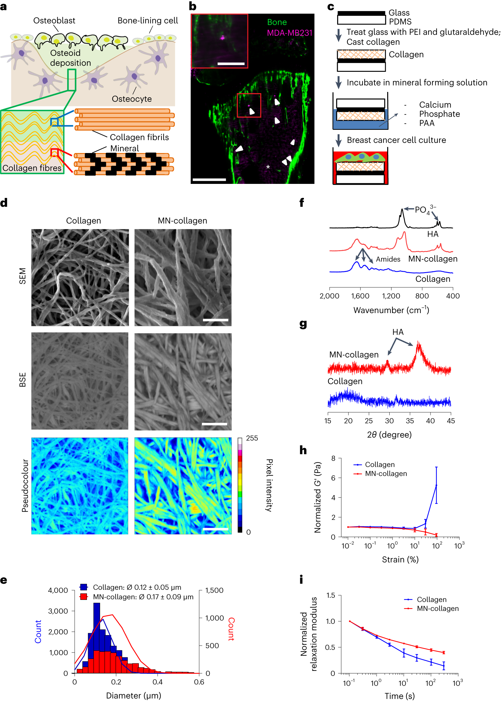 wang bit na fake nude 