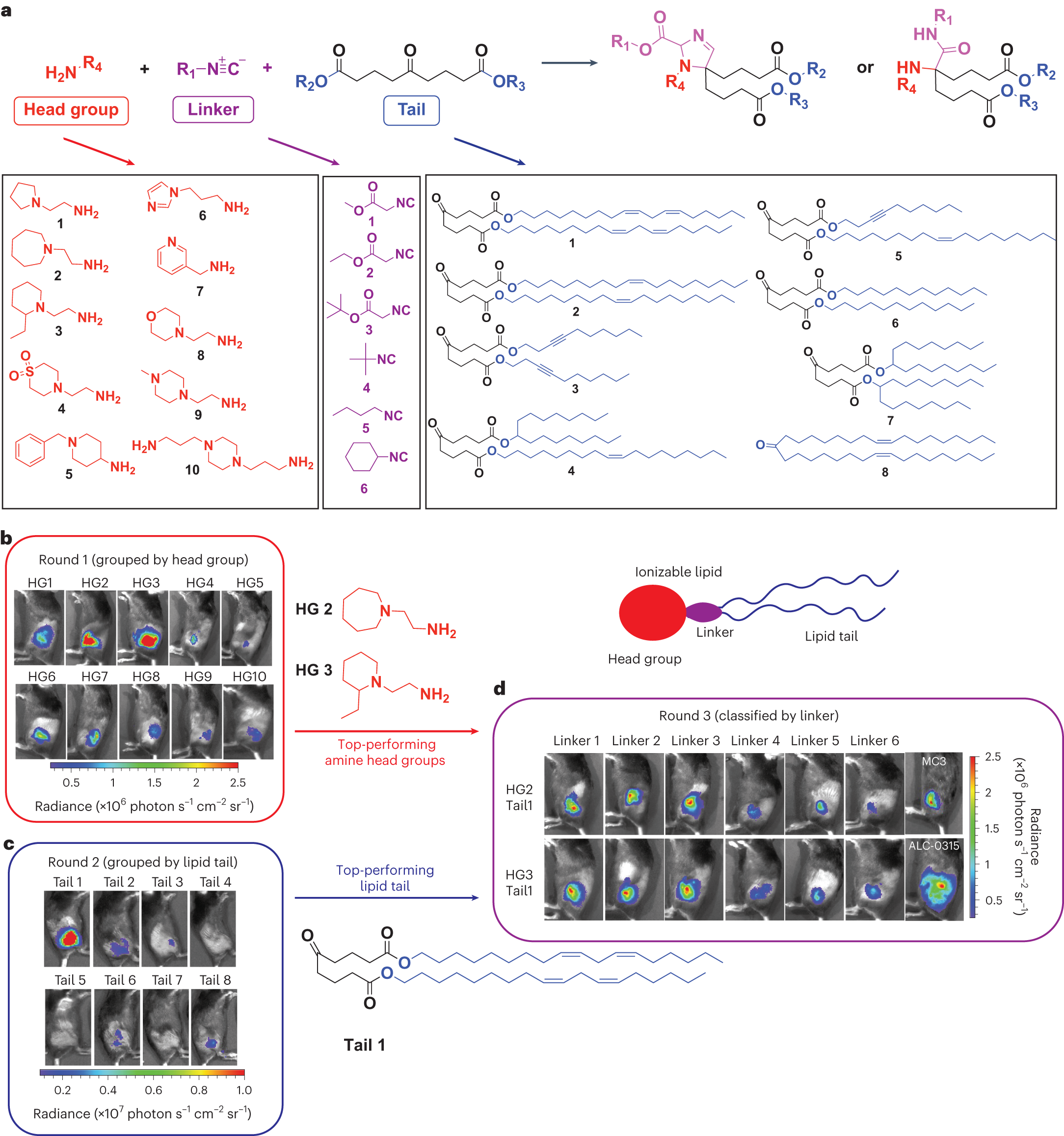 https://media.springernature.com/full/springer-static/image/art%3A10.1038%2Fs41551-023-01082-6/MediaObjects/41551_2023_1082_Fig1_HTML.png