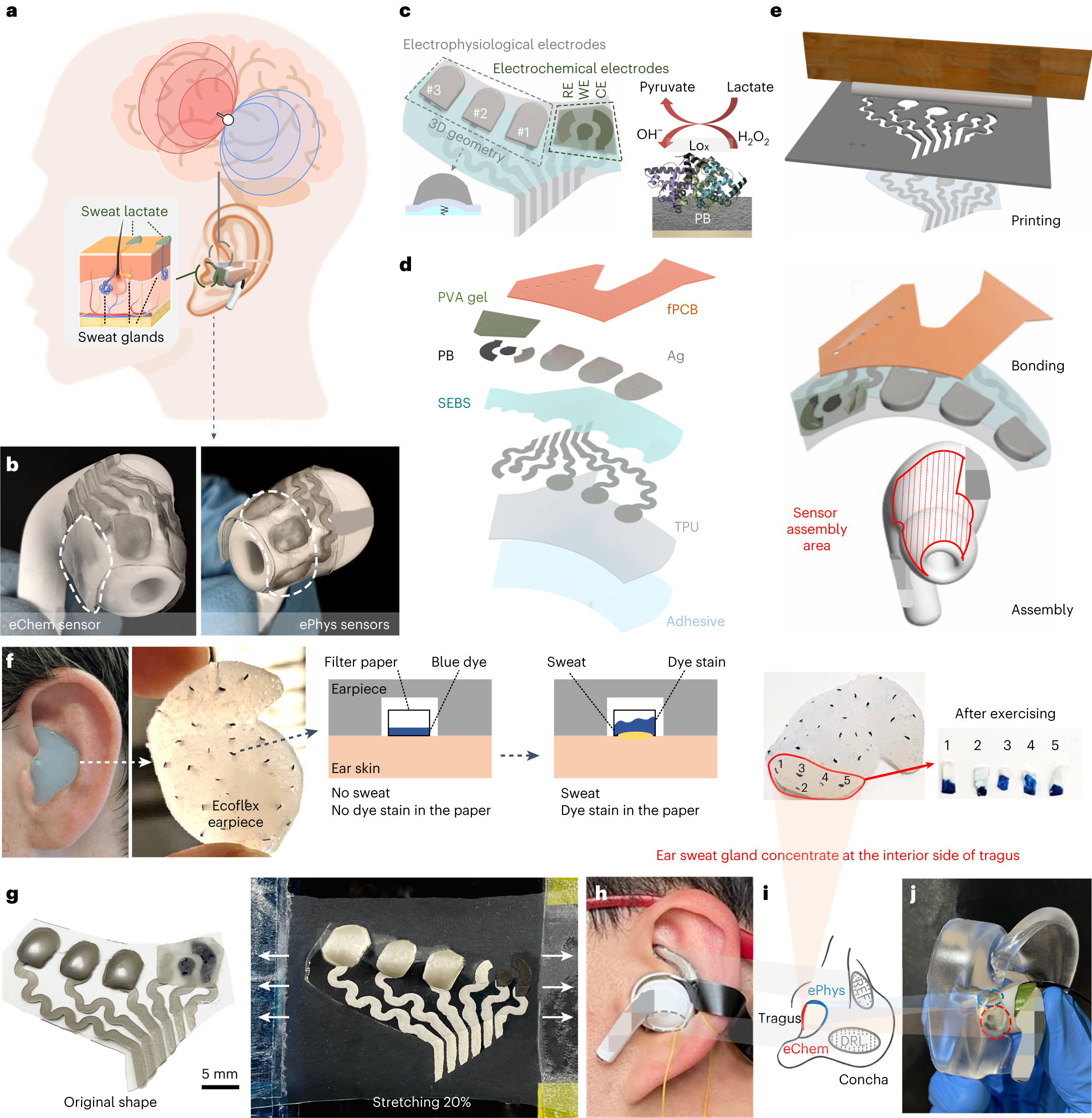 Conformal in-ear bioelectronics for visual and auditory brain