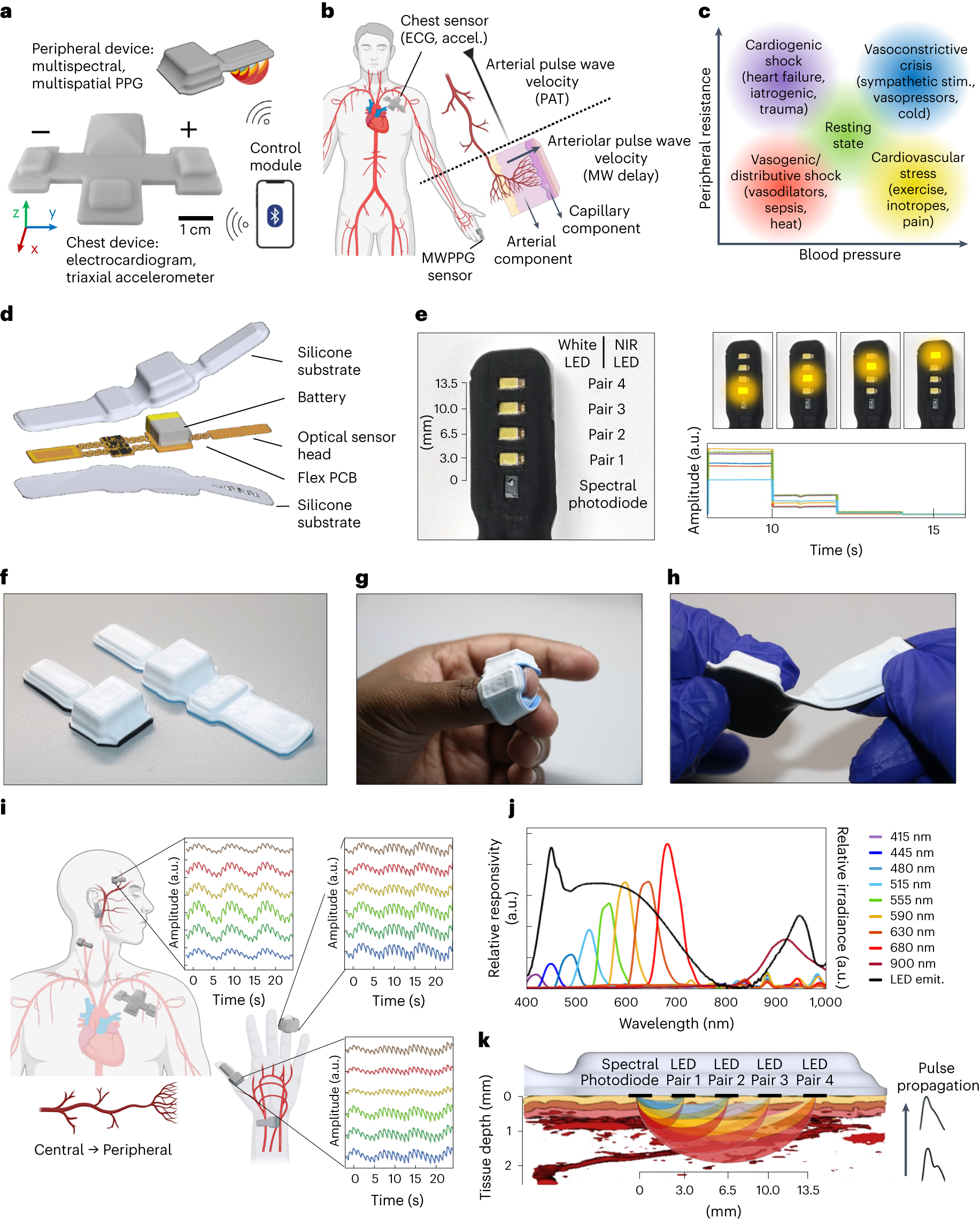 Synchronized wearables for the detection of haemodynamic states via  electrocardiography and multispectral photoplethysmography | Nature  Biomedical Engineering