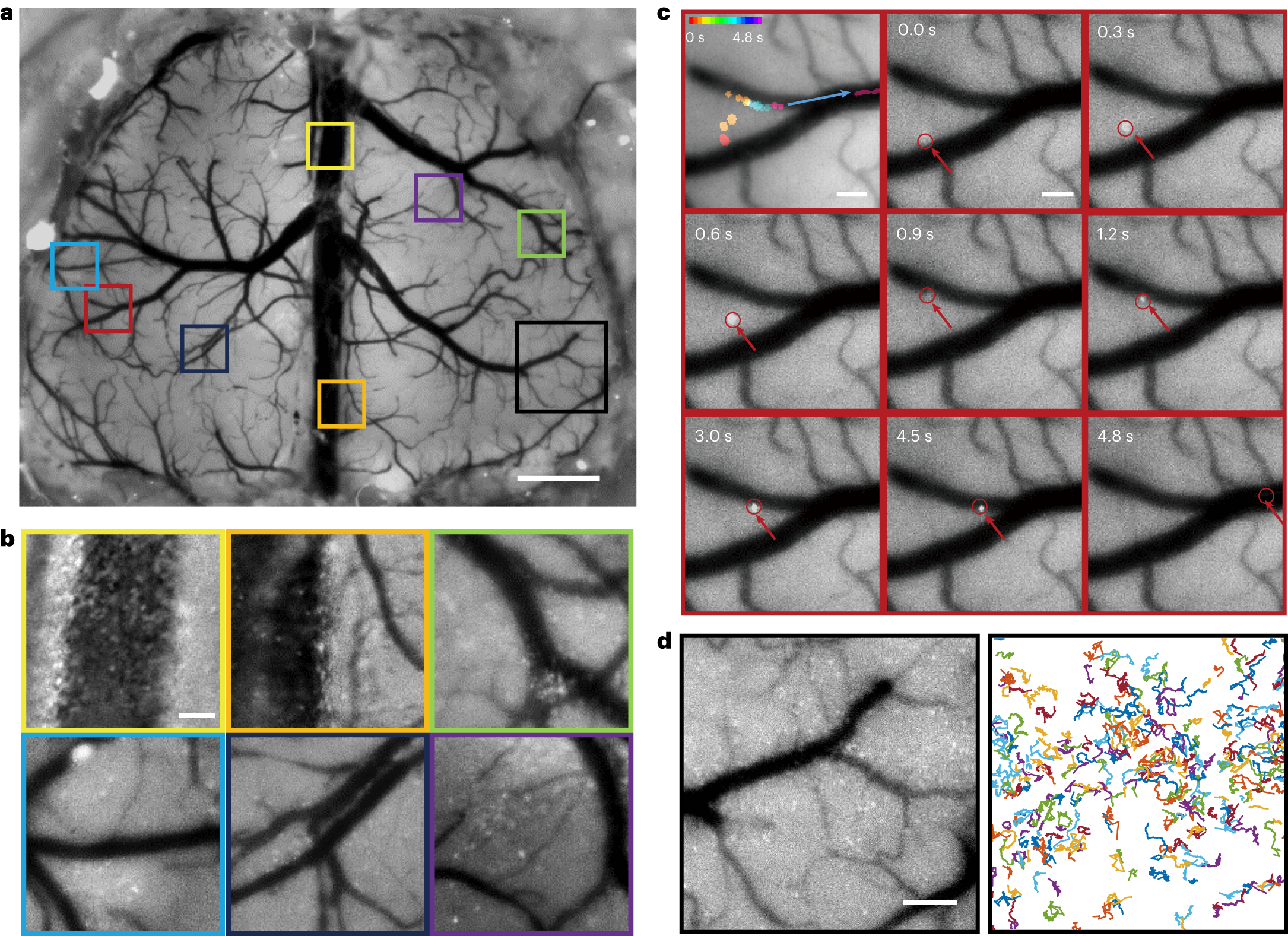 Fig. 4