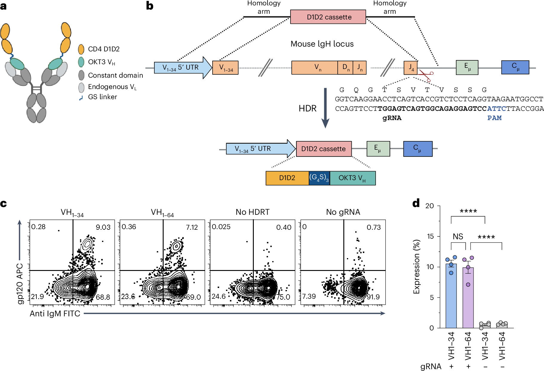 In vivo affinity maturation of the CD4 domains of an HIV-1-entry 