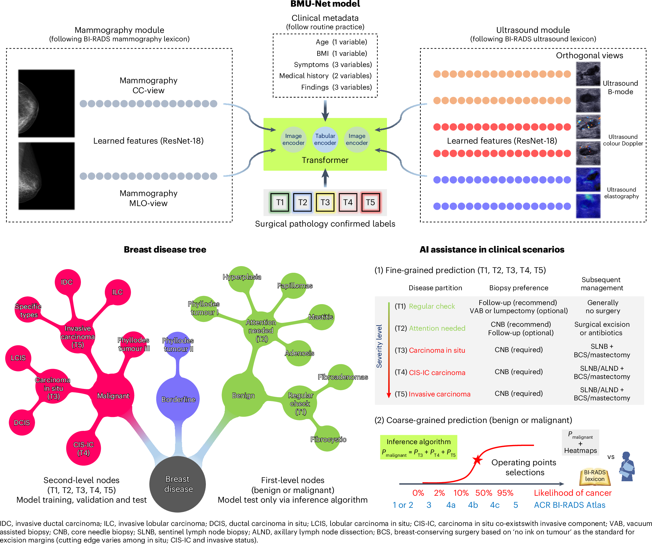 A multimodal machine learning model for the stratification of breast cancer  risk | Nature Biomedical Engineering