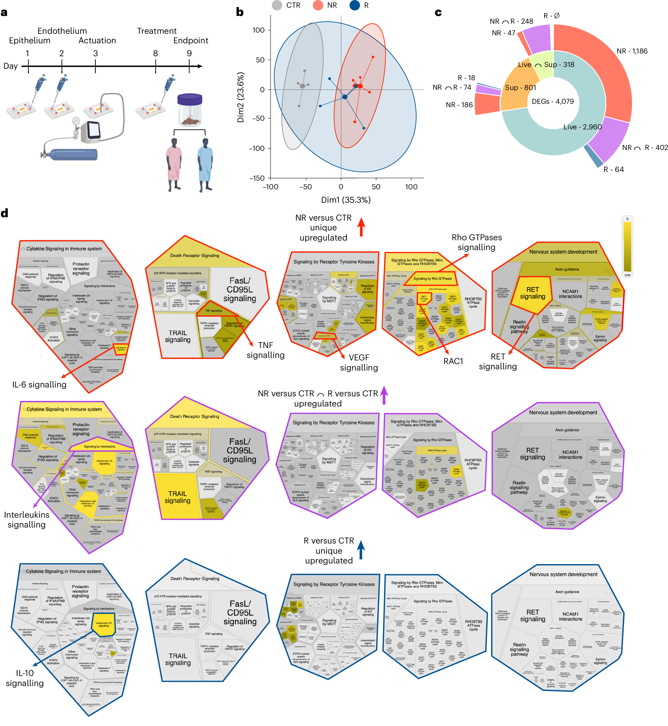 Fig. 4: Transcriptional profiling of the gut-on-a-chip response to faecal microbiota from patients with melanoma undergoing immunotherapy.
