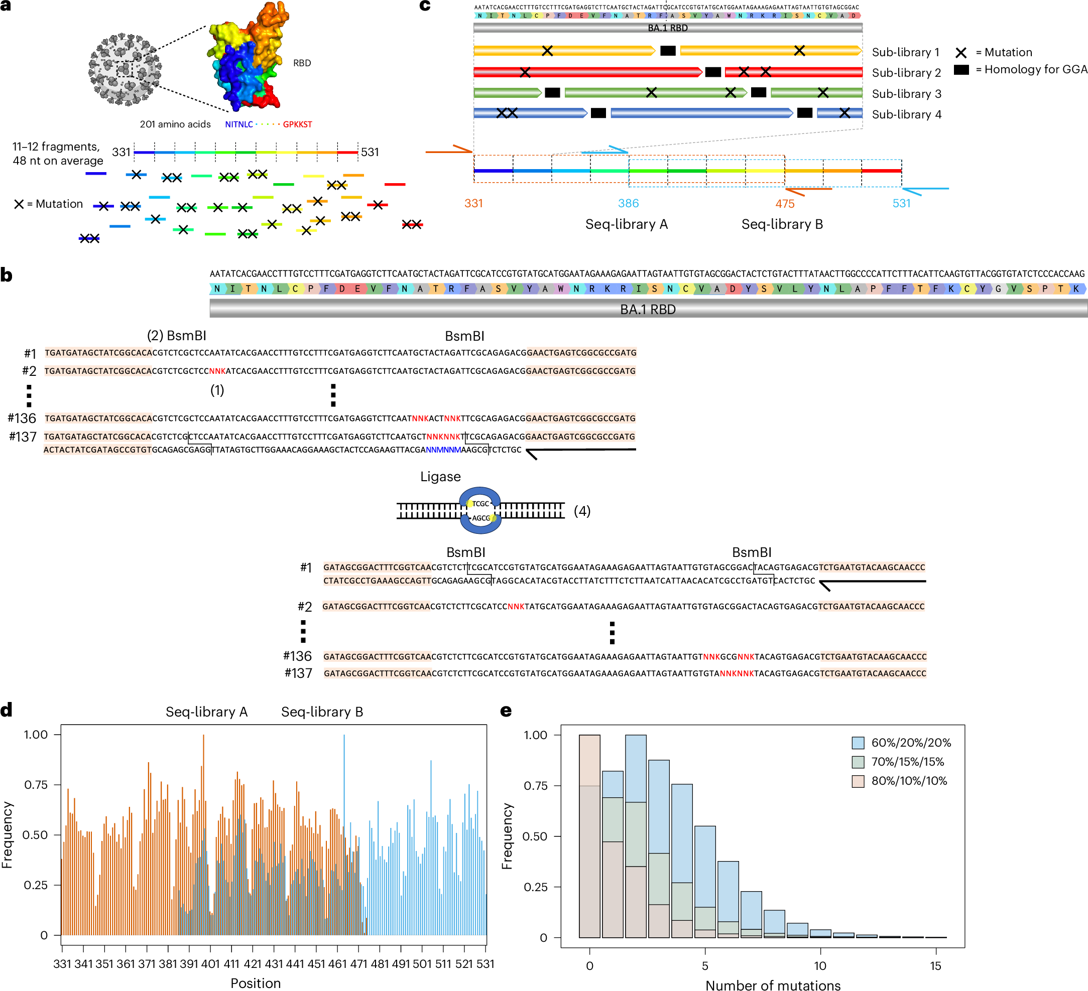 Fig. 2: Construction of a high ED synthetic variant library based on Omicron BA.1 RBD.