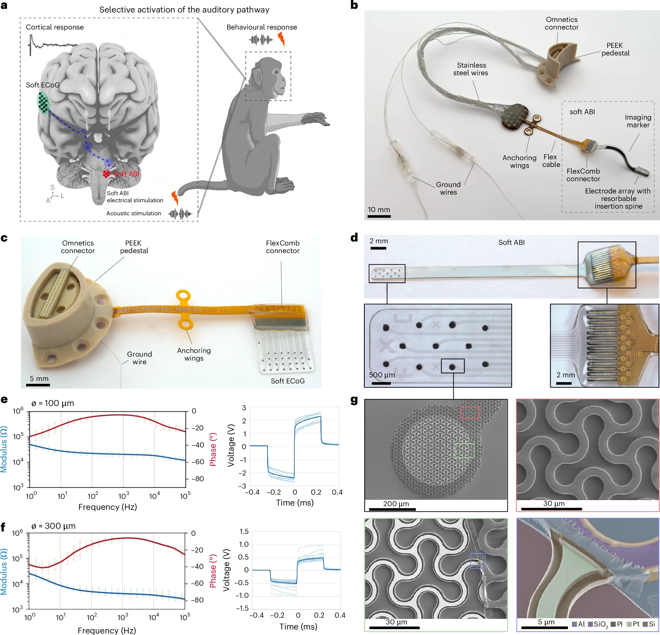 Experimental design and devices. Credit: *Nature Biomedical Engineering* (2025). DOI: 10.1038/s41551-025-01378-9