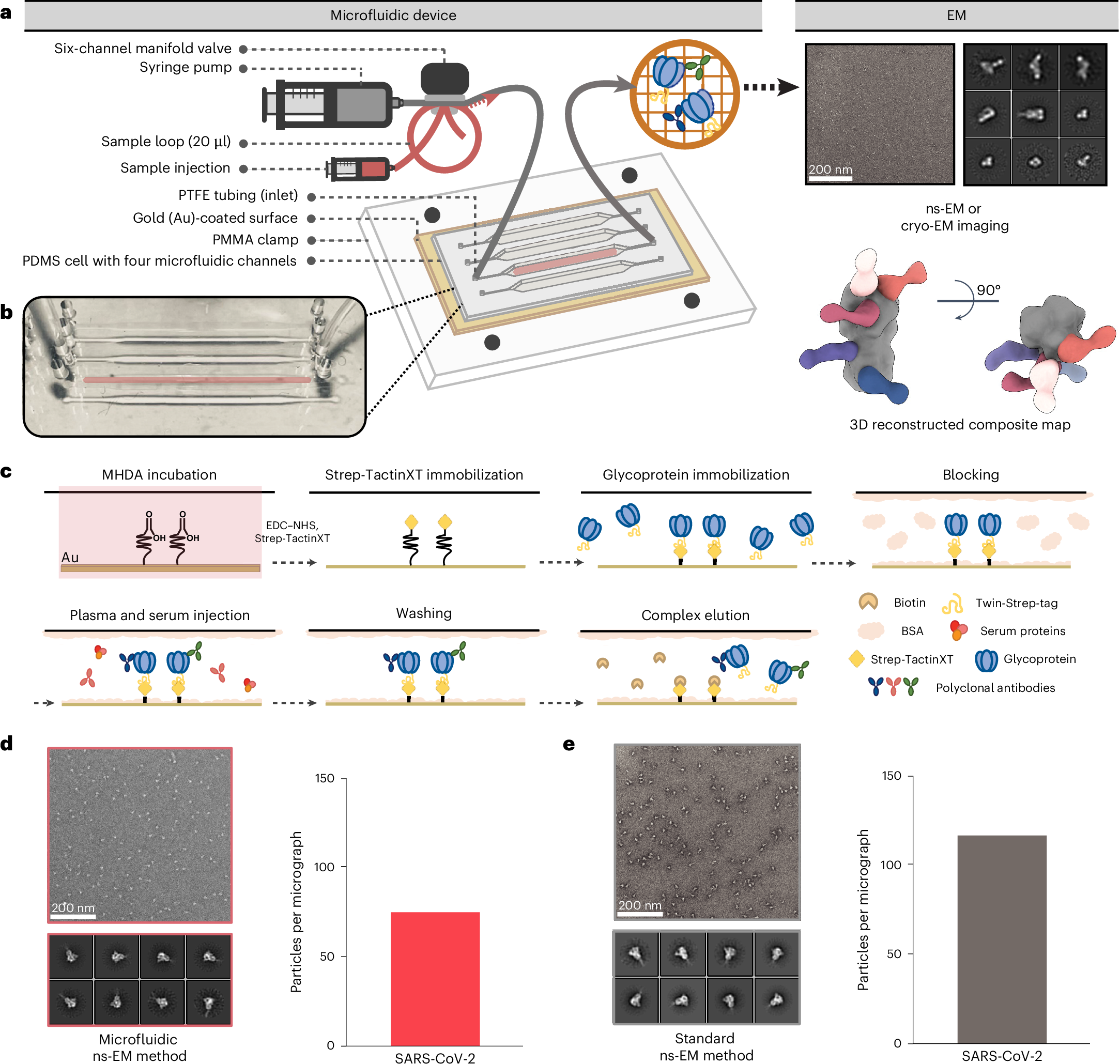 Microfluidics combined with electron microscopy for rapid and  high-throughput mapping of antibody–viral glycoprotein complexes | Nature  Biomedical Engineering