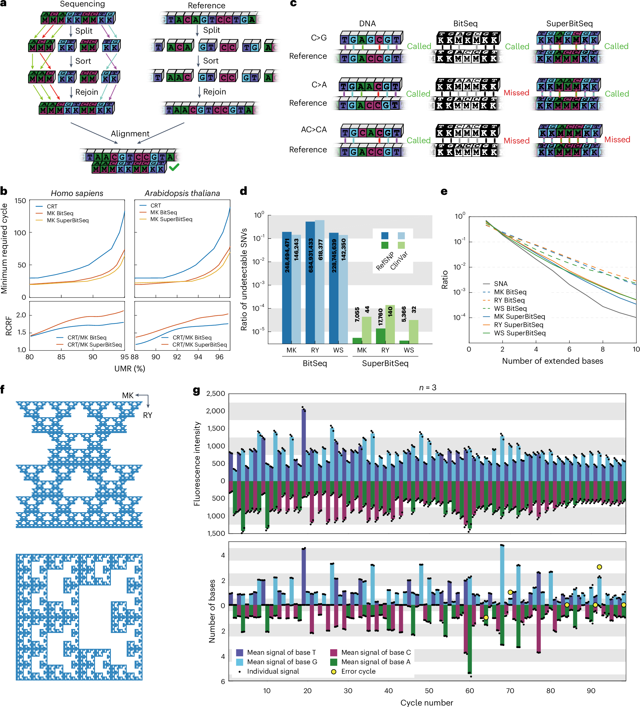 Fig. 4: Properties of SuperBitSeq.