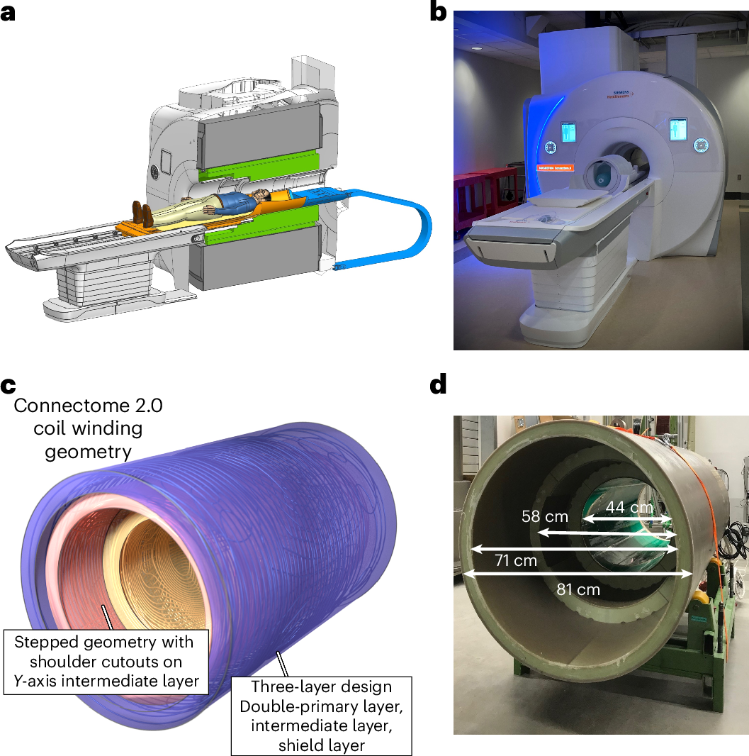 Ultra-high gradient connectomics and microstructure MRI scanner for imaging  of human brain circuits across scales | Nature Biomedical Engineering, image size:1057x1066