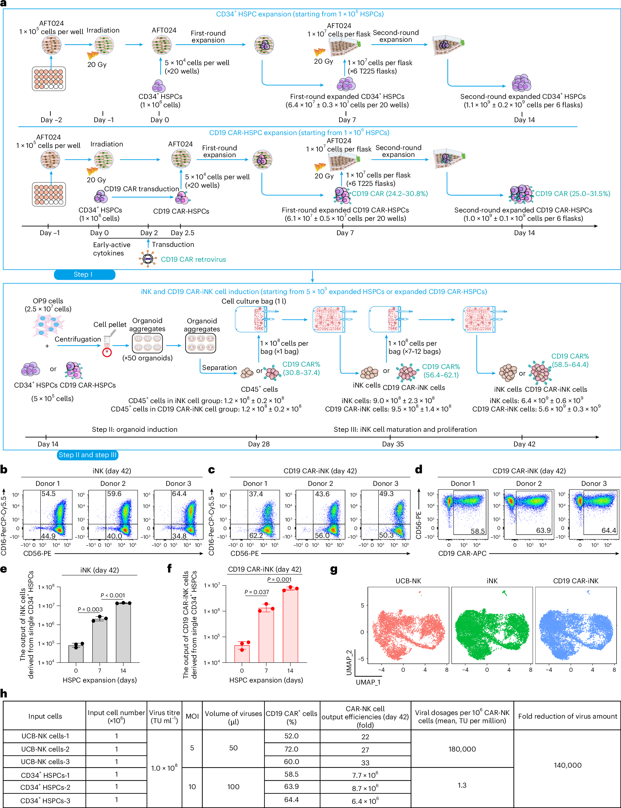Large-scale generation of iNK and CAR-iNK cells from CD34+ haematopoietic  stem and progenitor cells for adoptive immunotherapy | Nature Biomedical  Engineering