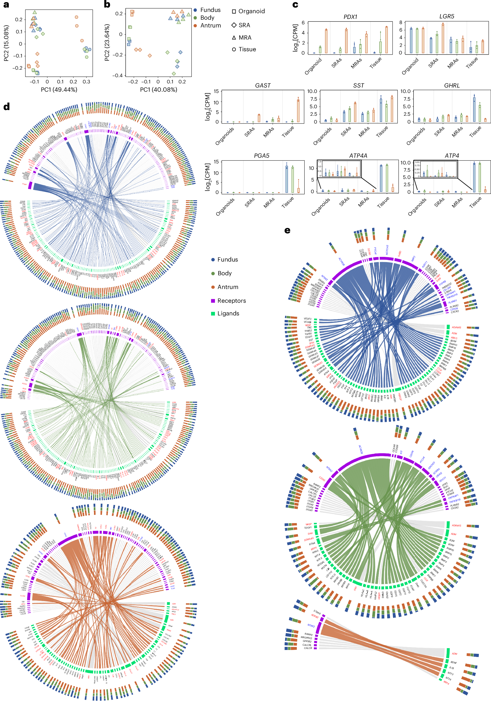 Fig. 3: Gastric assembloid bulk RNA-seq analysis.