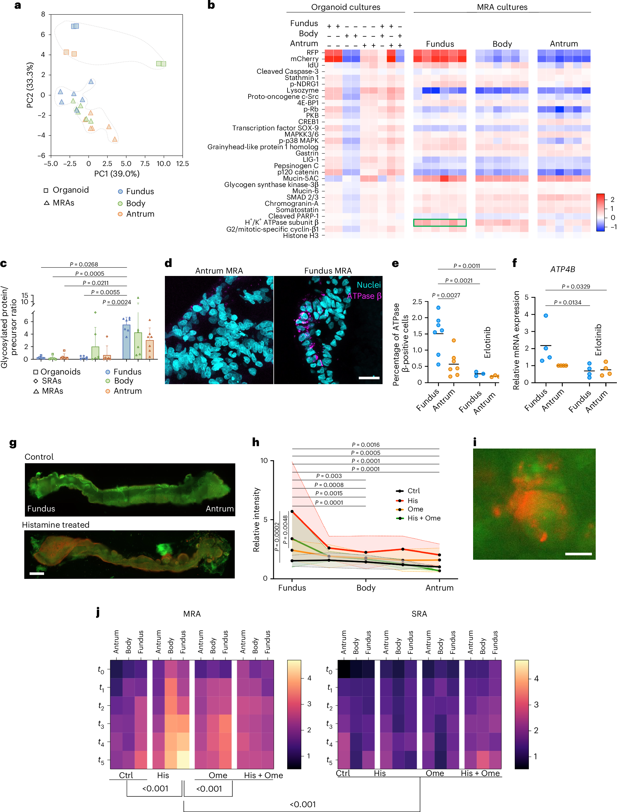 Fig. 4: Mass cytometry and functional analysis of the MRA.