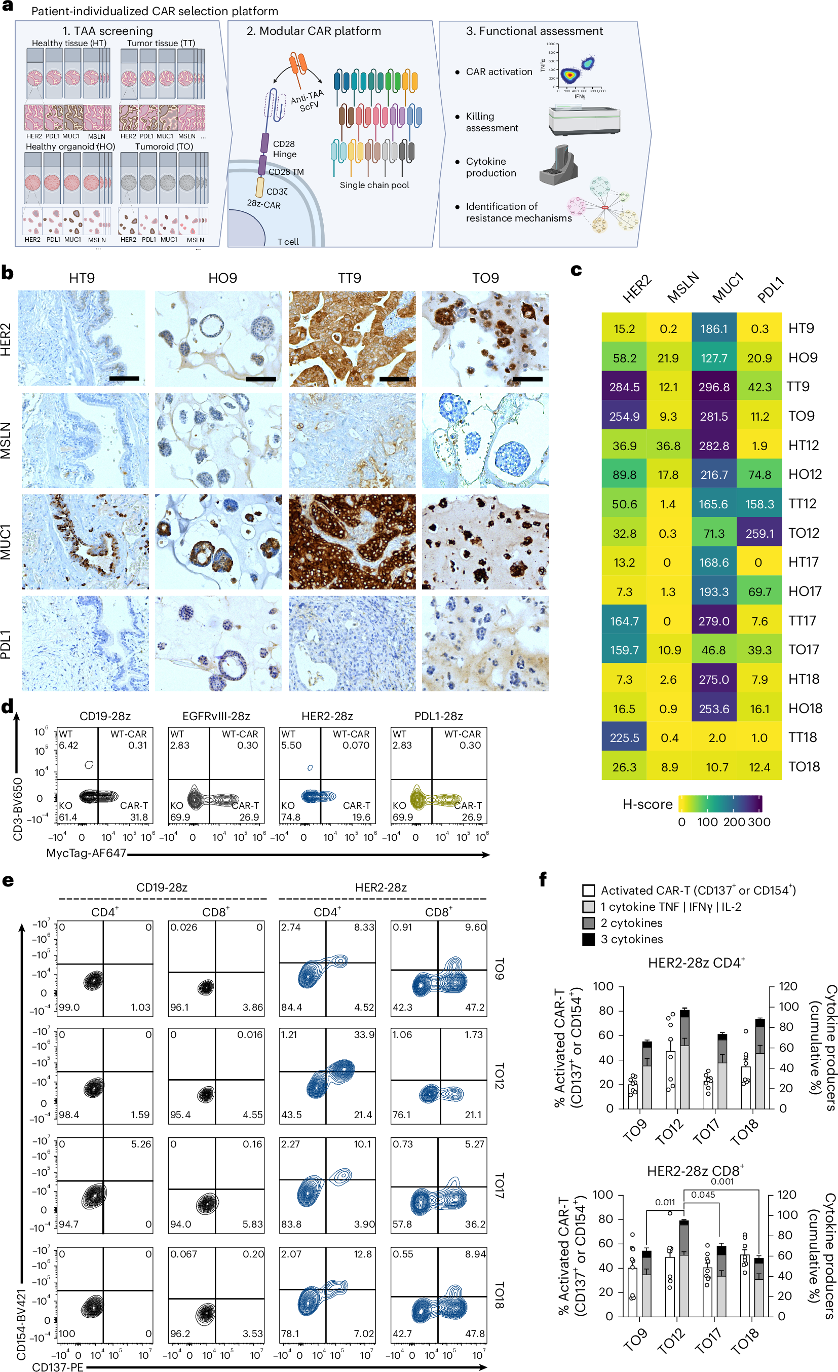 Fig. 4: Patient-individualized CAR selection platform.