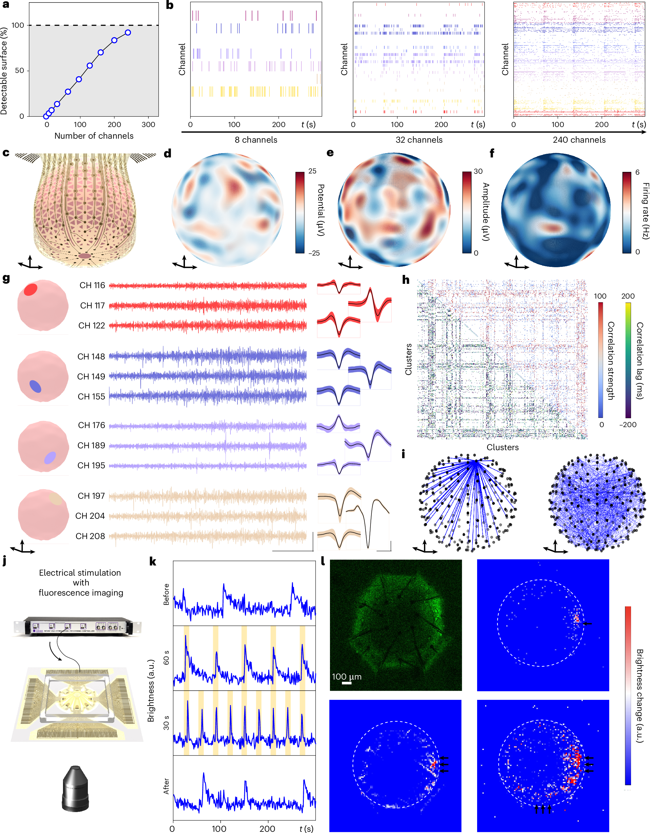 Fig. 3: 3D spatial electrophysiology.