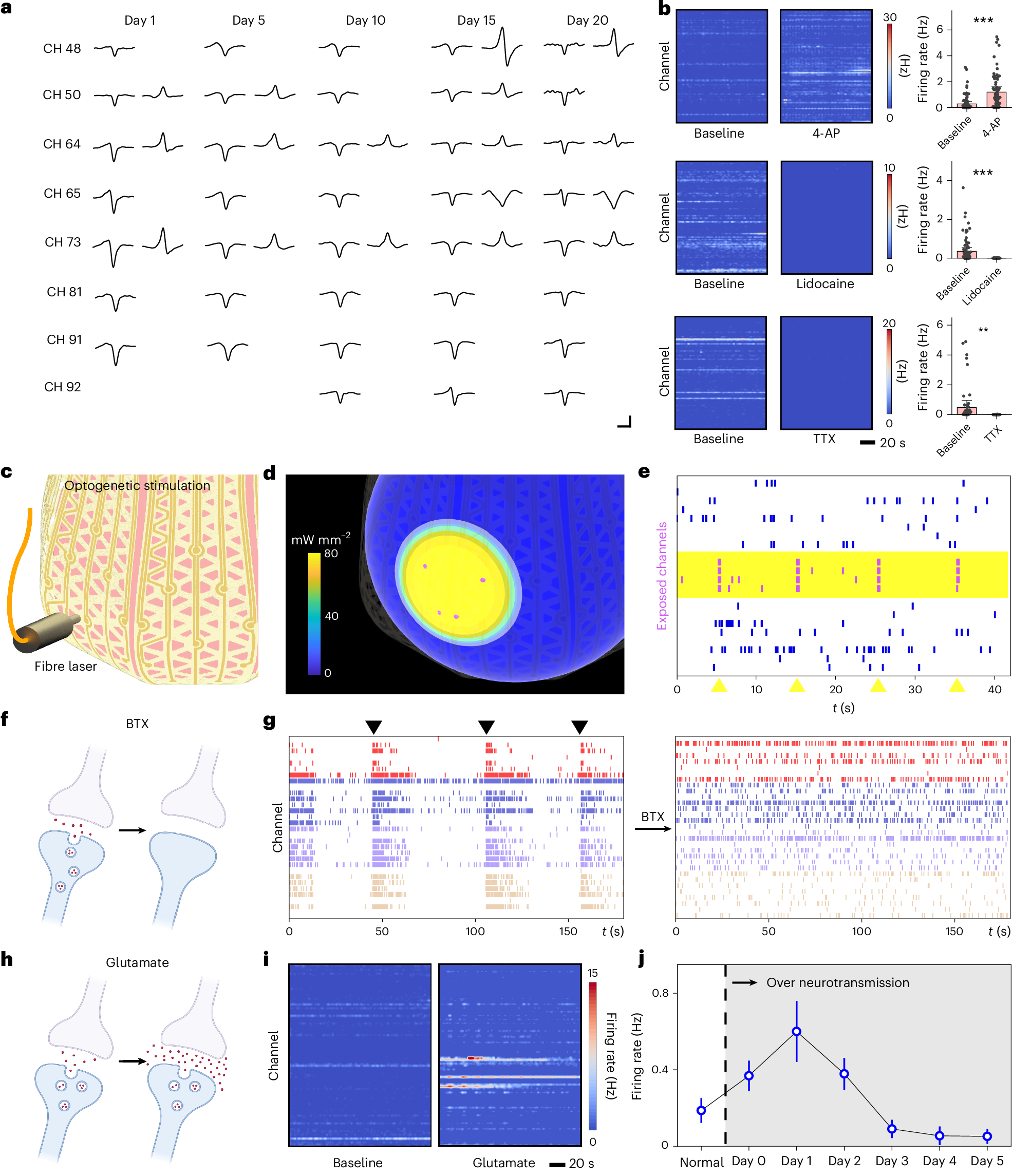 Fig. 5: Demonstrations of use in various areas of organoid research.