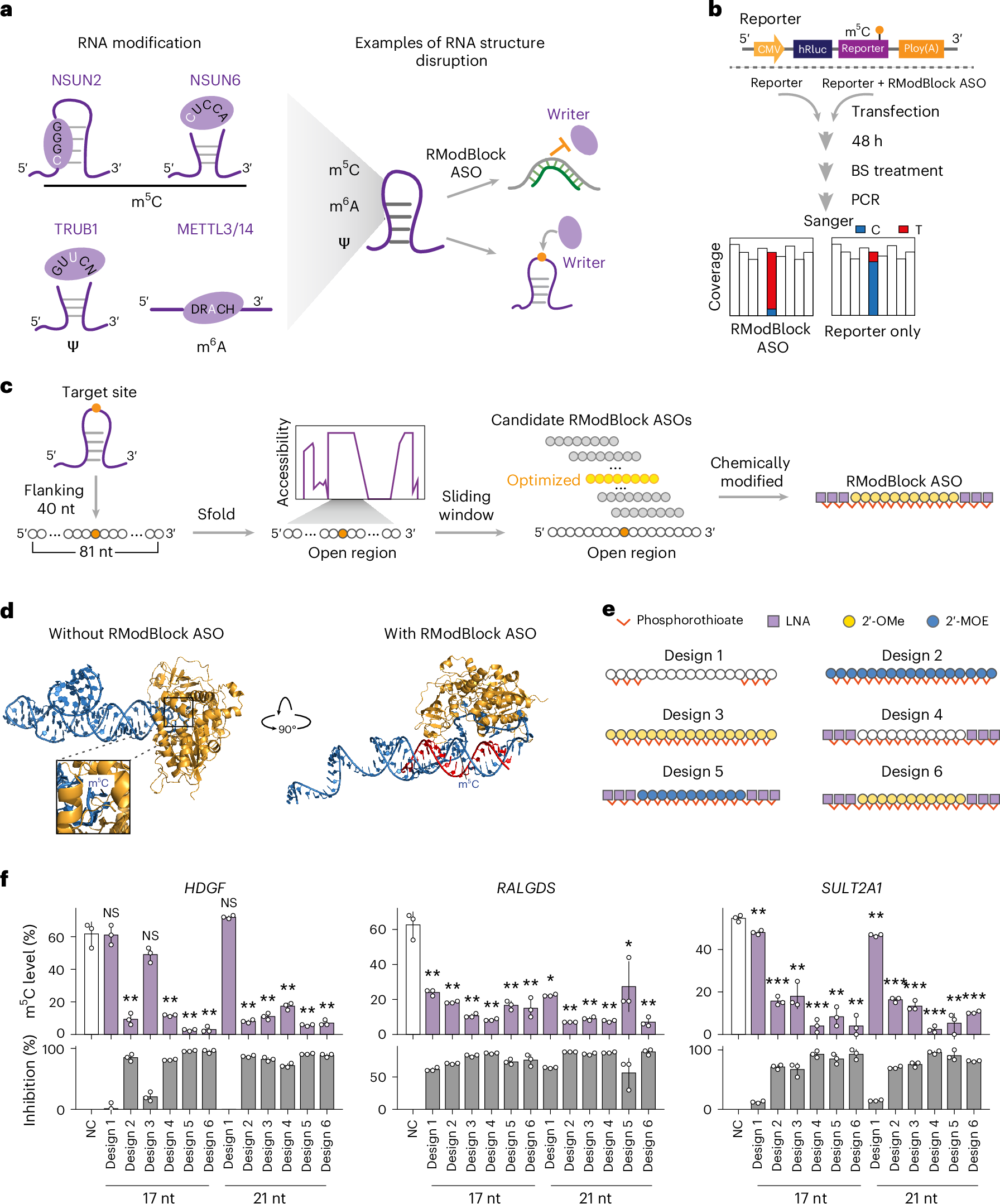 RModBlock antisense oligonucleotides as a universal tool for precise and efficient inhibition of RNA modifications