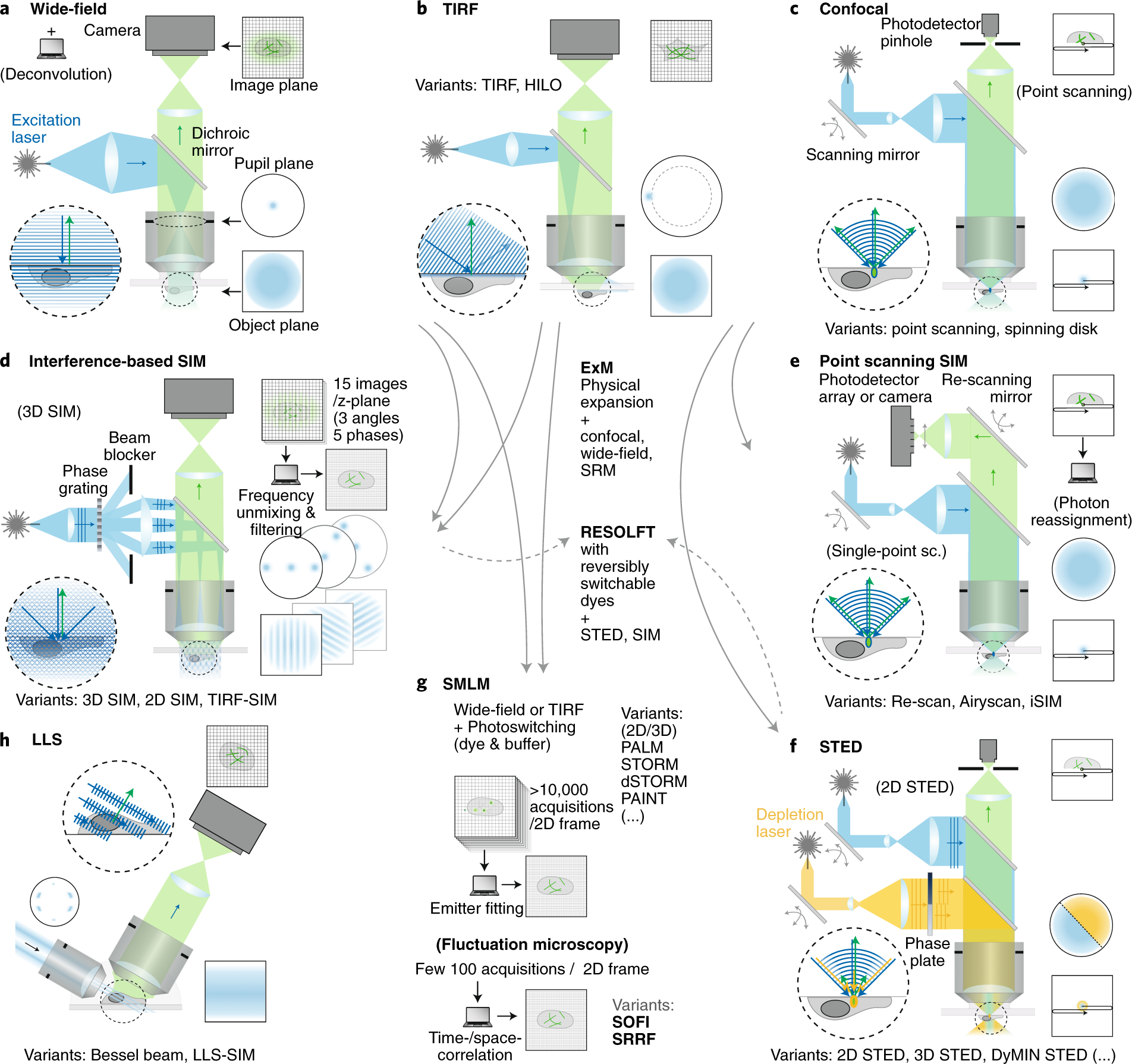 Super-resolution microscopy demystified | Nature Cell Biology