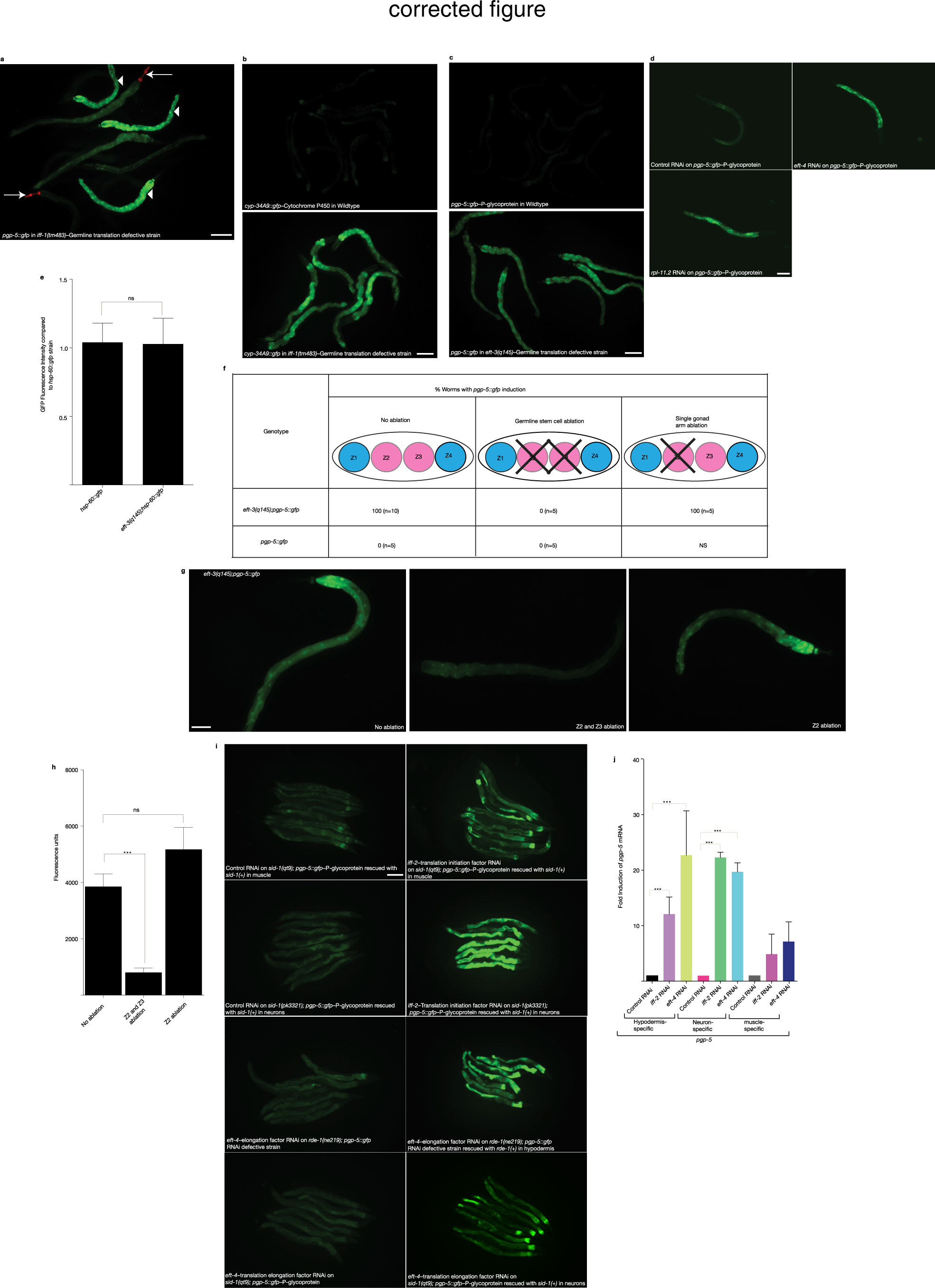 Supplementary Fig. 1
