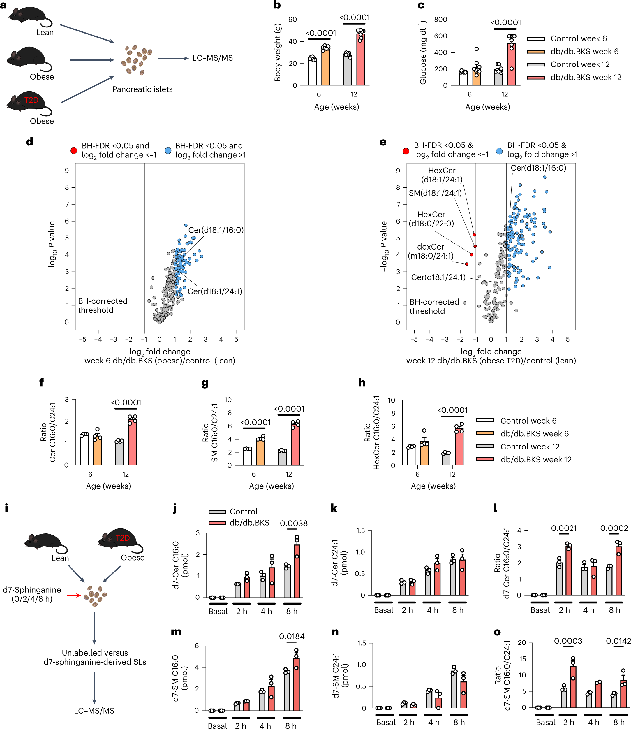 Sphingolipid subtypes differentially control proinsulin processing and systemic glucose homeostasis Nature Cell Biology picture