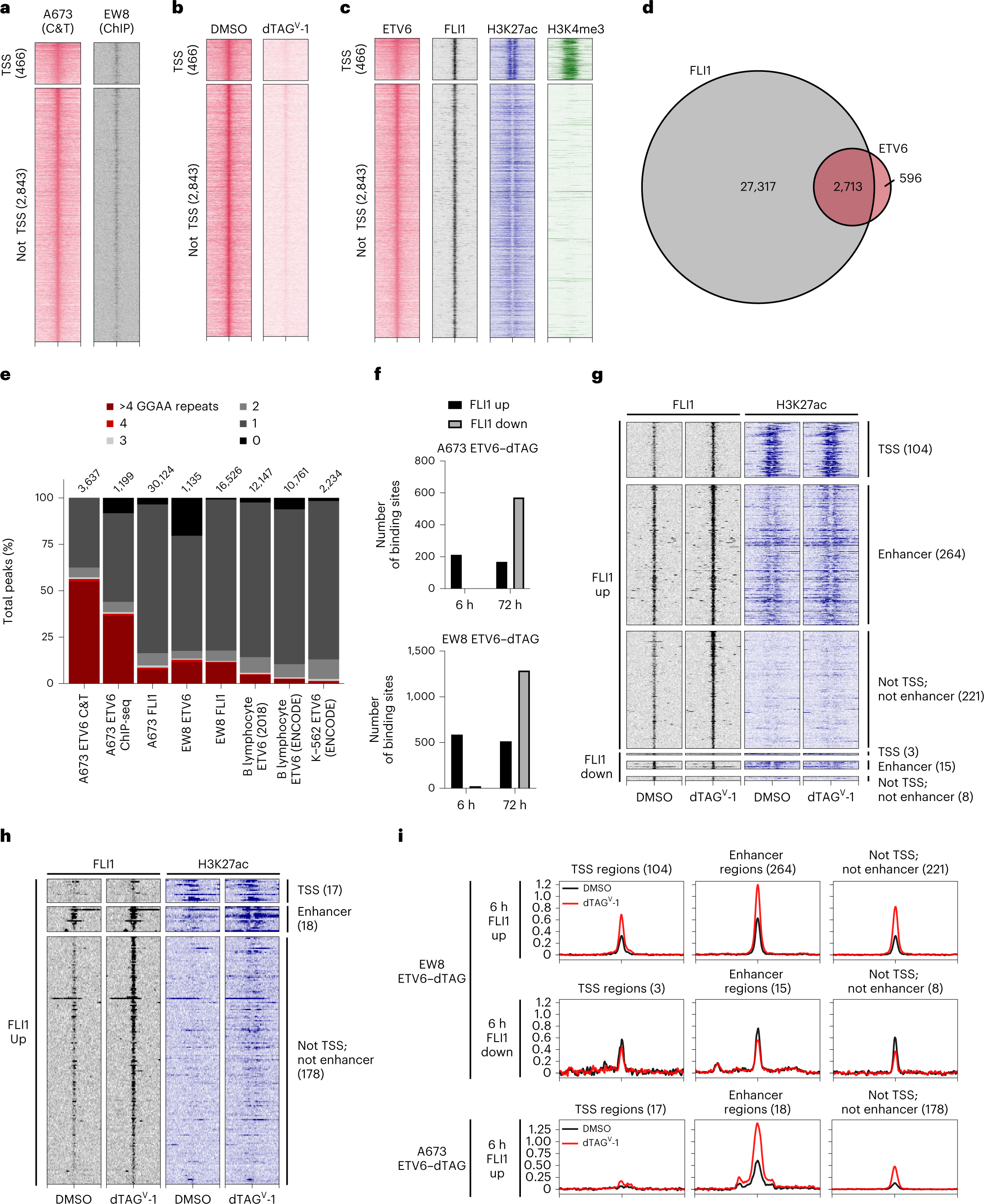 Fig. 2: Acute loss of ETV6 leads to increased EWS–FLI binding.