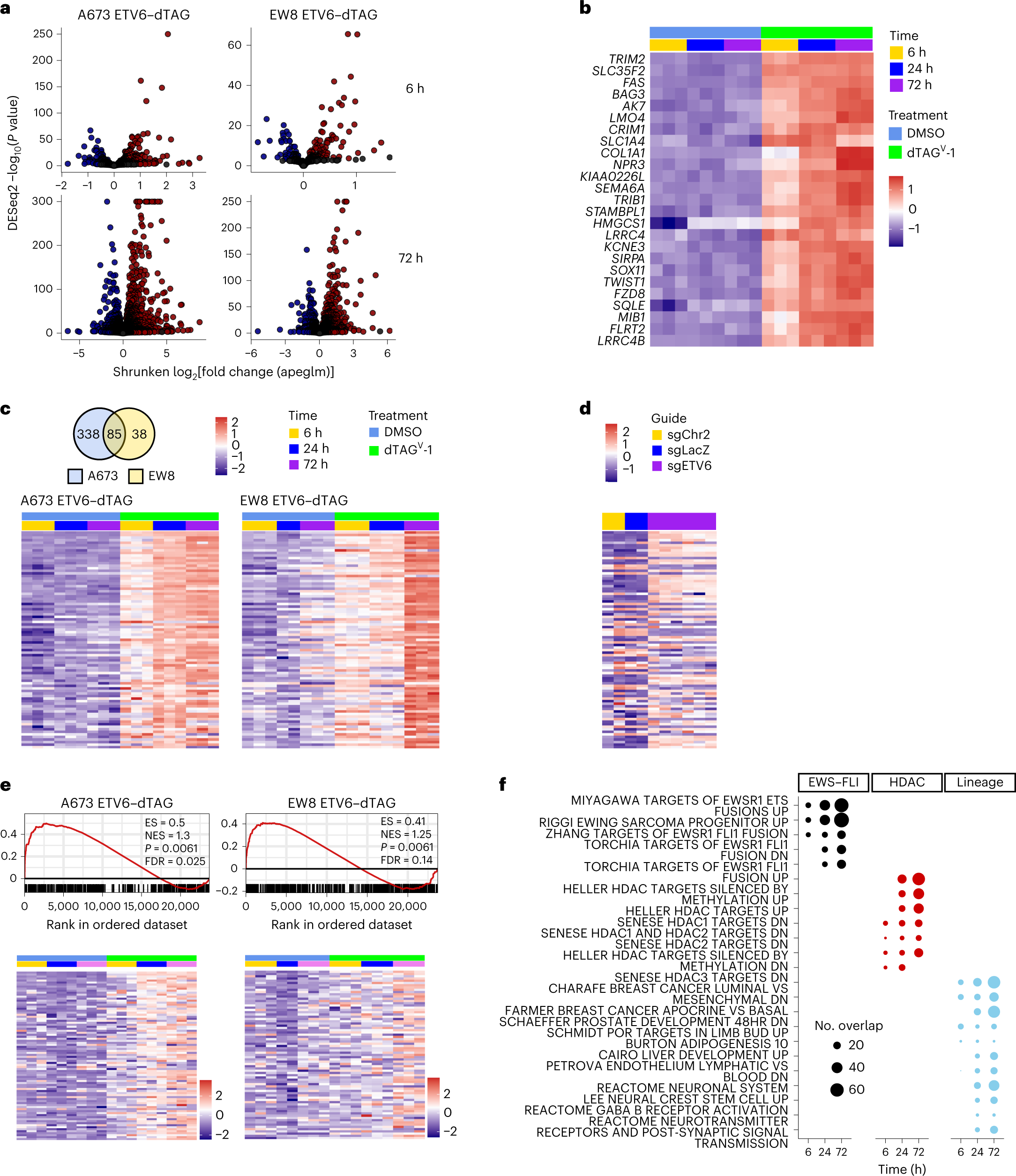 Fig. 3: ETV6 is primarily a transcriptional repressor in Ewing sarcoma.