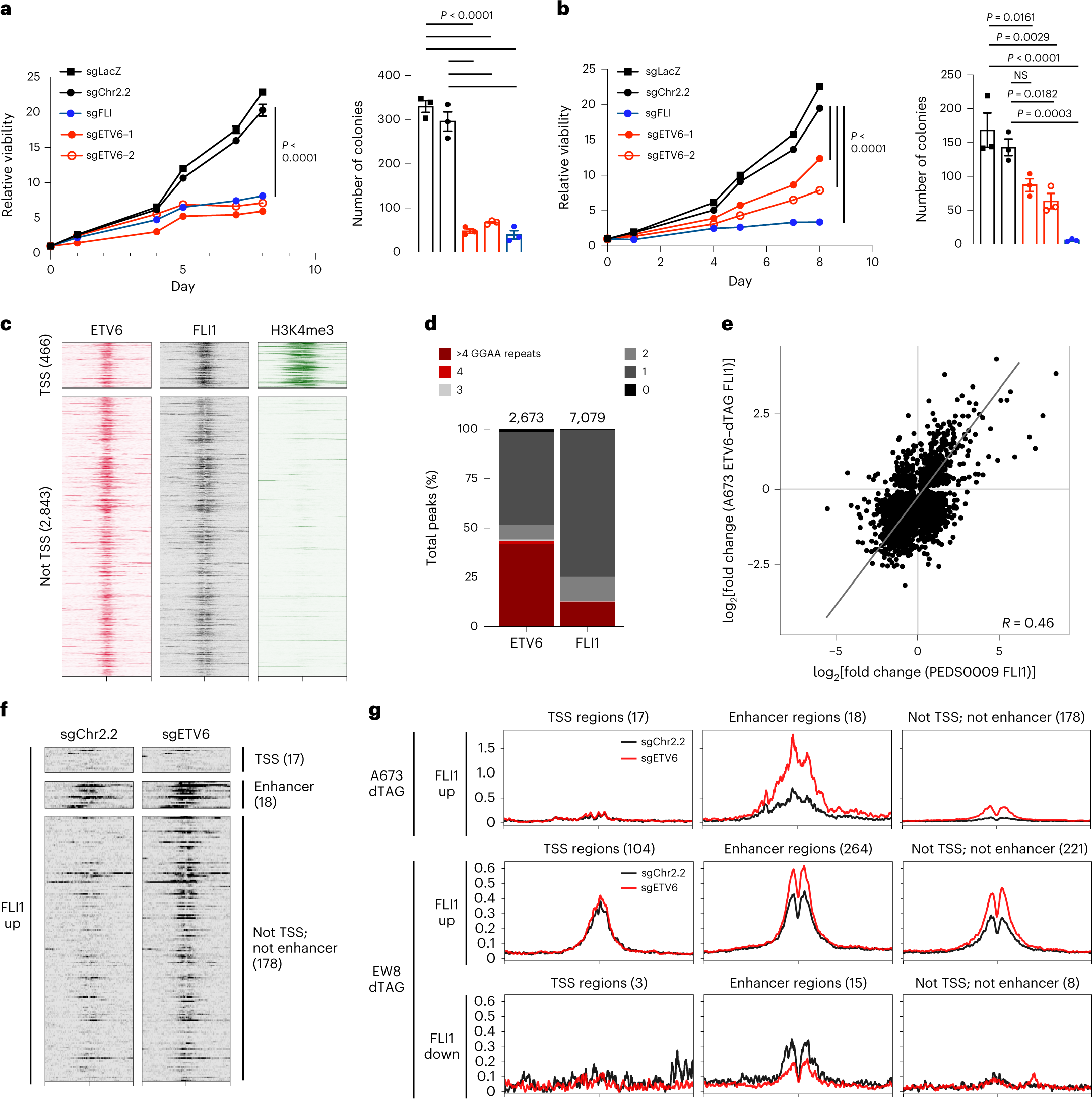 Fig. 5: ETV6 competes with EWS–FLI for binding in clinically relevant Ewing sarcoma models.