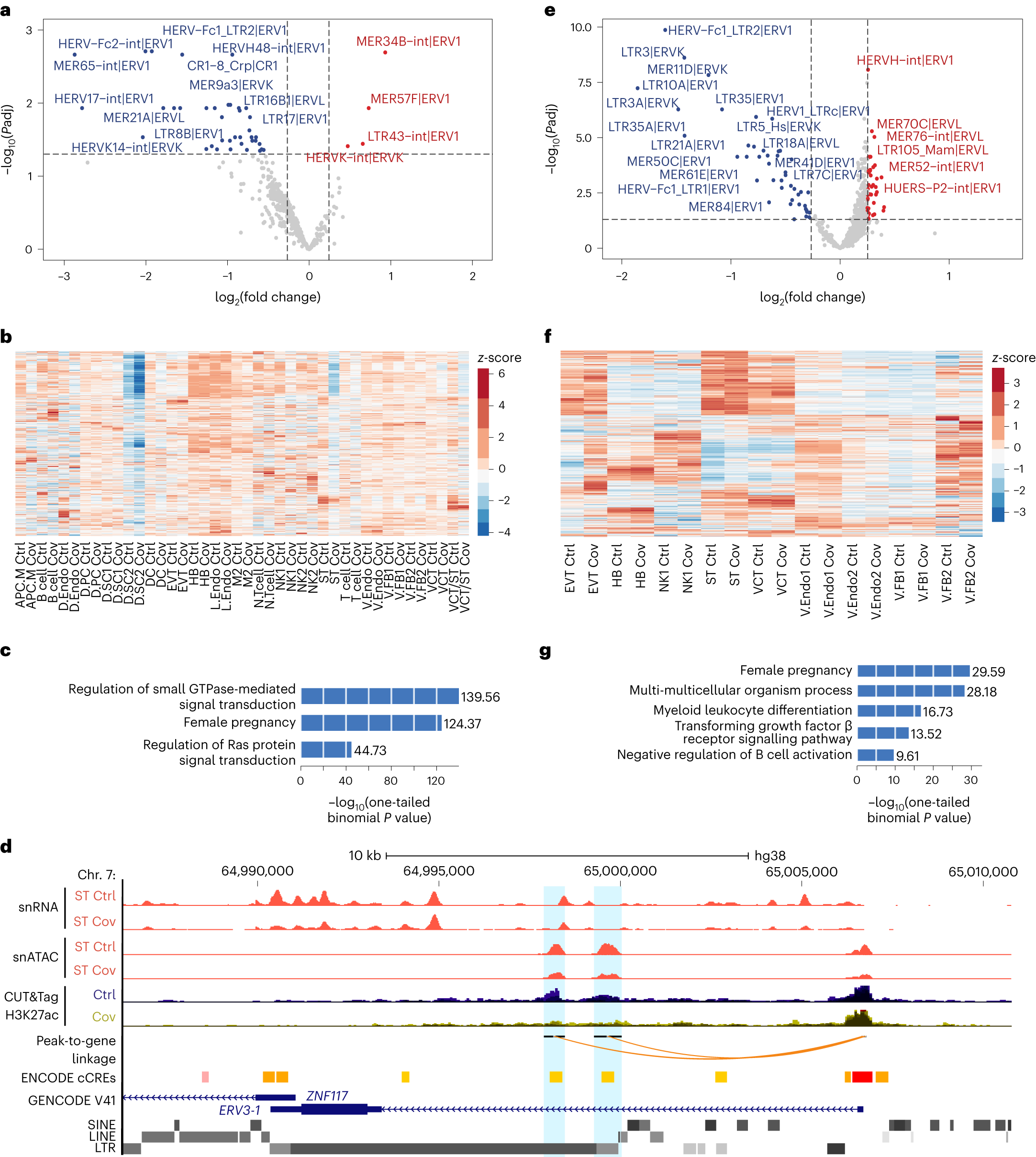 Fig. 5: SARS-CoV-2 infection during pregnancy induces dysregulation of retrotransposons.