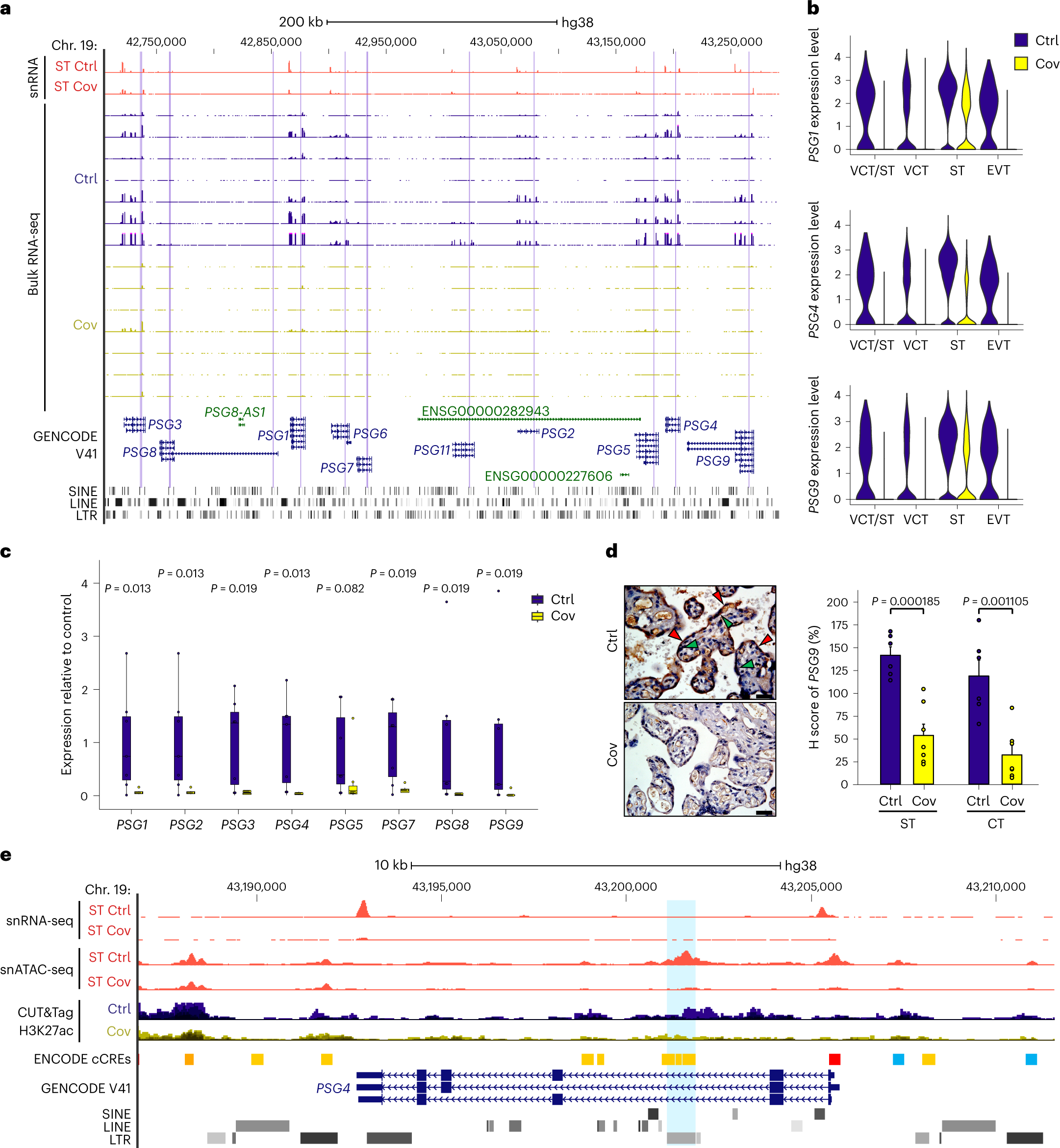 Fig. 6: Reduction of pregnancy gene expression is associated with loss of chromatin accessibility at intronic LTR elements.