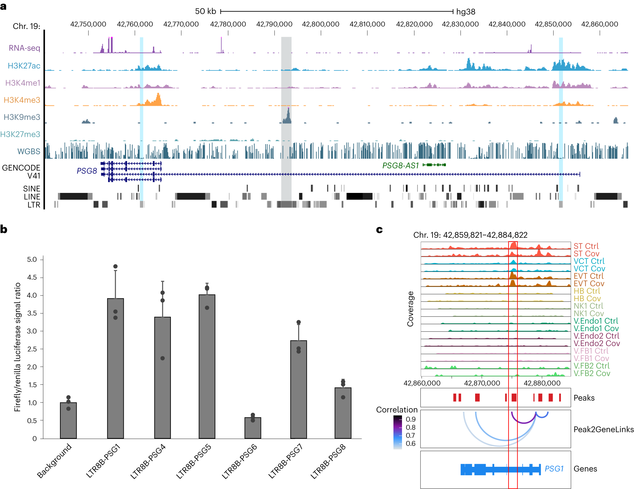 Fig. 7: LTR8B elements function as enhancers in trophoblast cells.