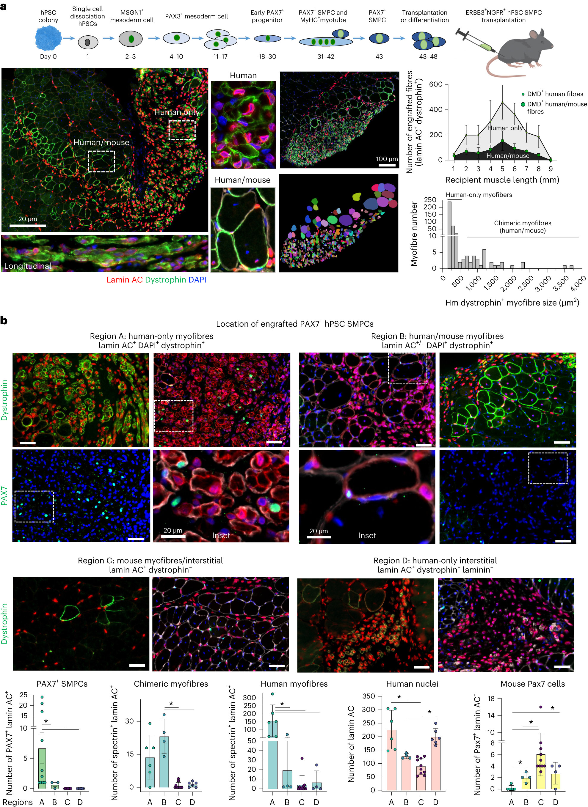 In vivo fan tests: 14 models in system positions 