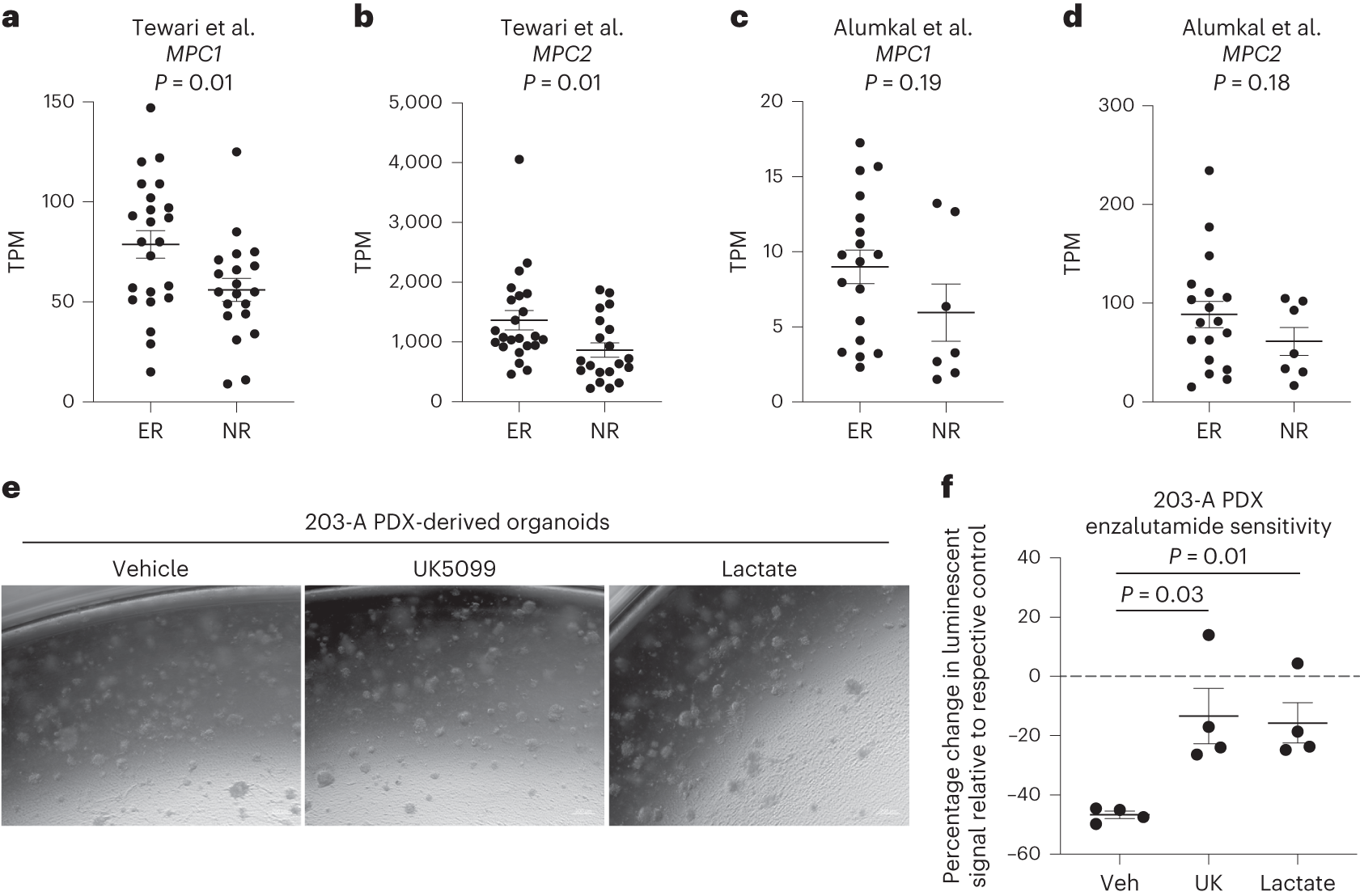 Fig. 6: Modulation of lactate metabolism alters antiandrogen response in prostate cancer.