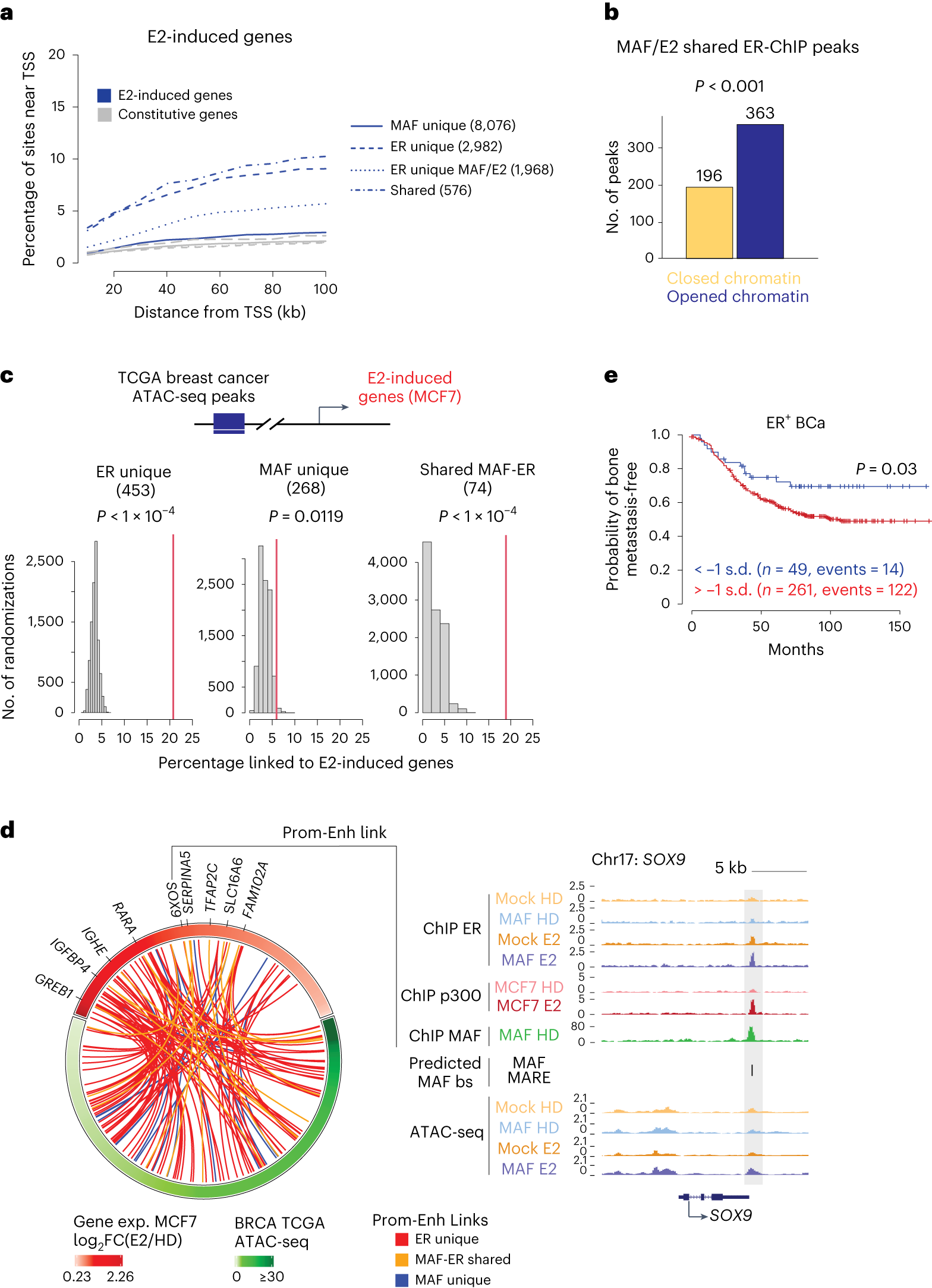 Fig. 6: Shared ER-MAF binding sites control the E2-induced metastasis gene program.