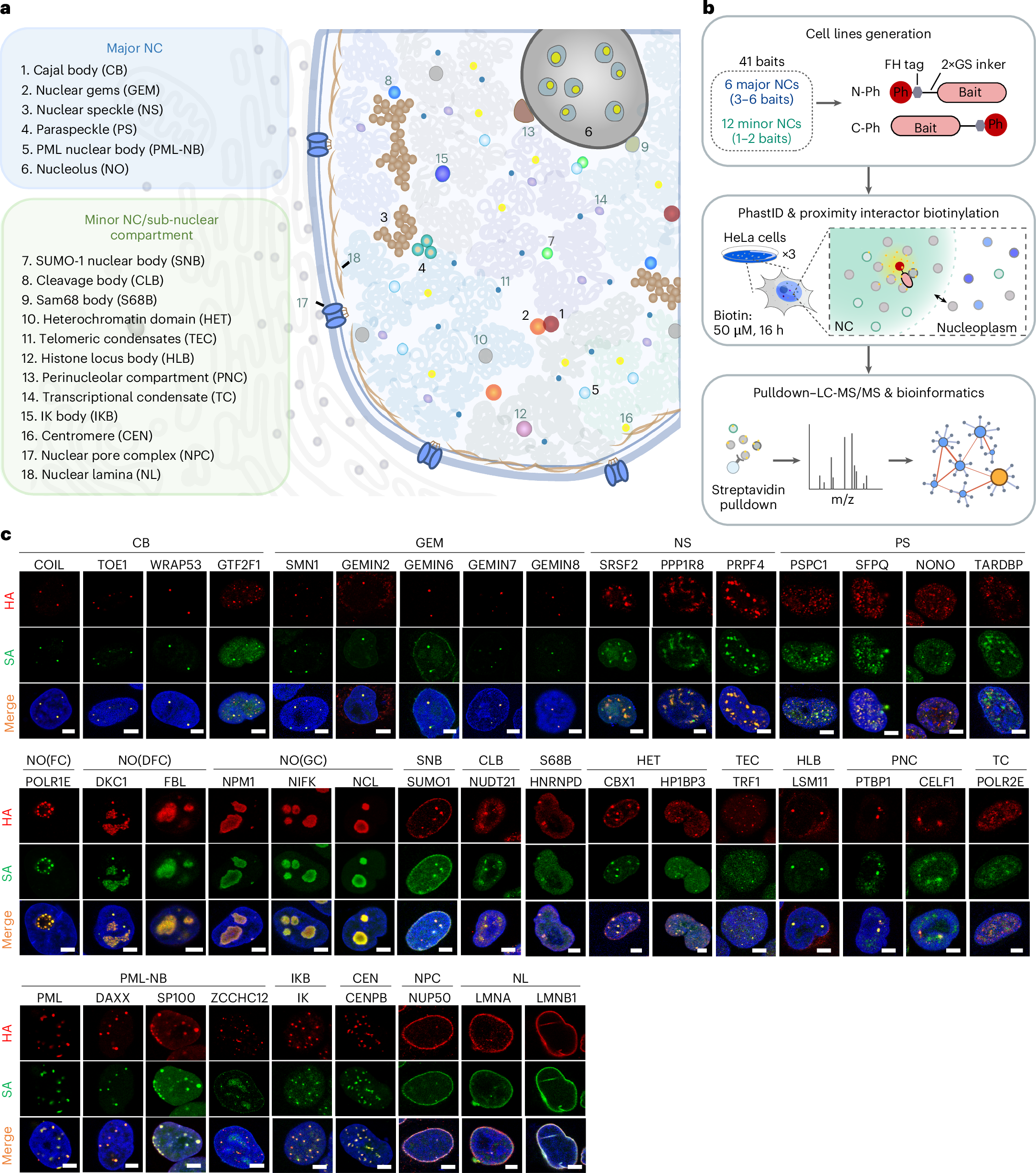 Kit Boulons, Écrous Et Rondelles En Acier Inoxydable A2 (DIN 933) - Filetage Complet - Choix De Tailles