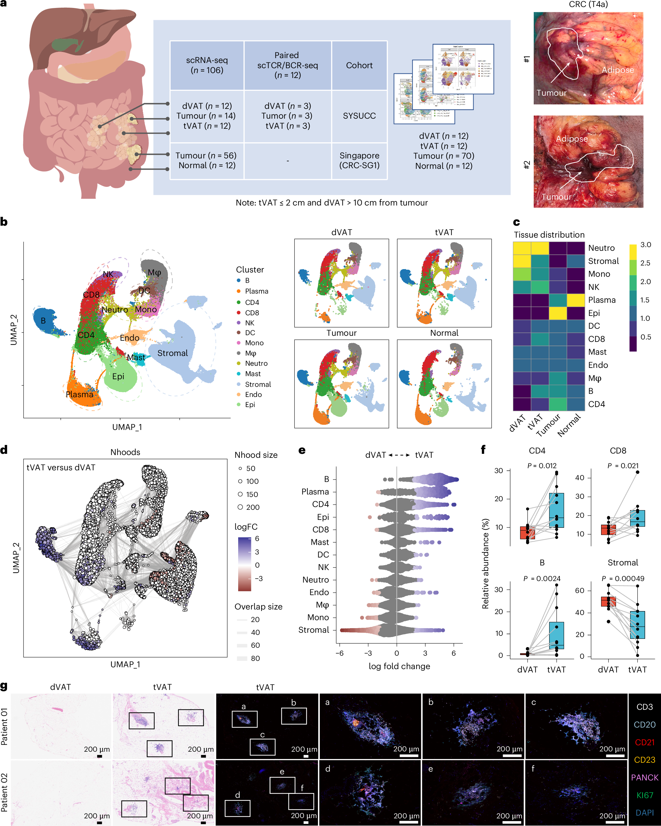 Fig. 1: Single-cell RNA profiling unveils tissue-specific immune landscape of tVAT.