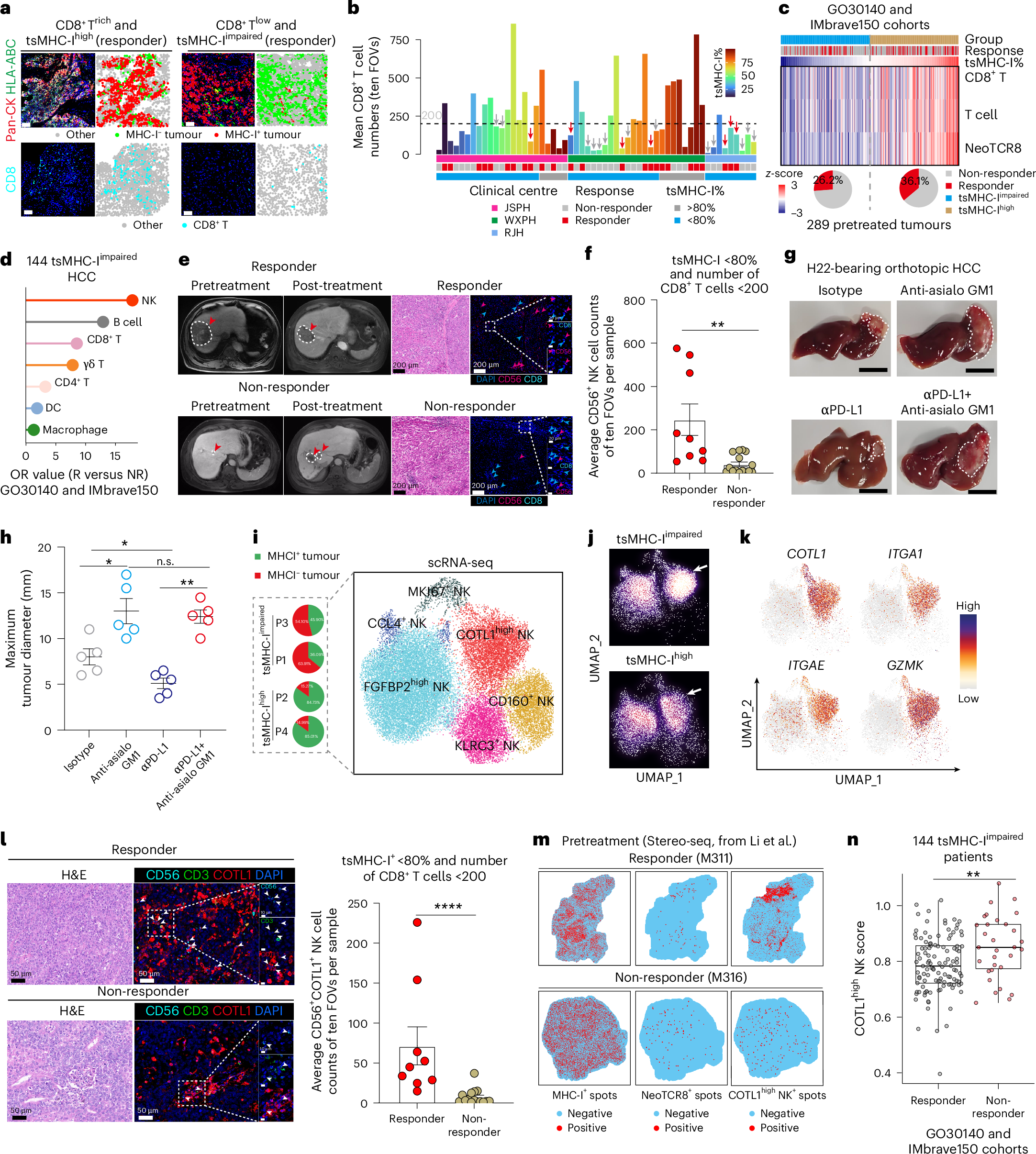 Fig. 1: Pre-existing COTL1high NK cells are associated with immunotherapeutic efficacy in tumours with impaired tsMHC-I expression and CD8+ T cell infiltration.