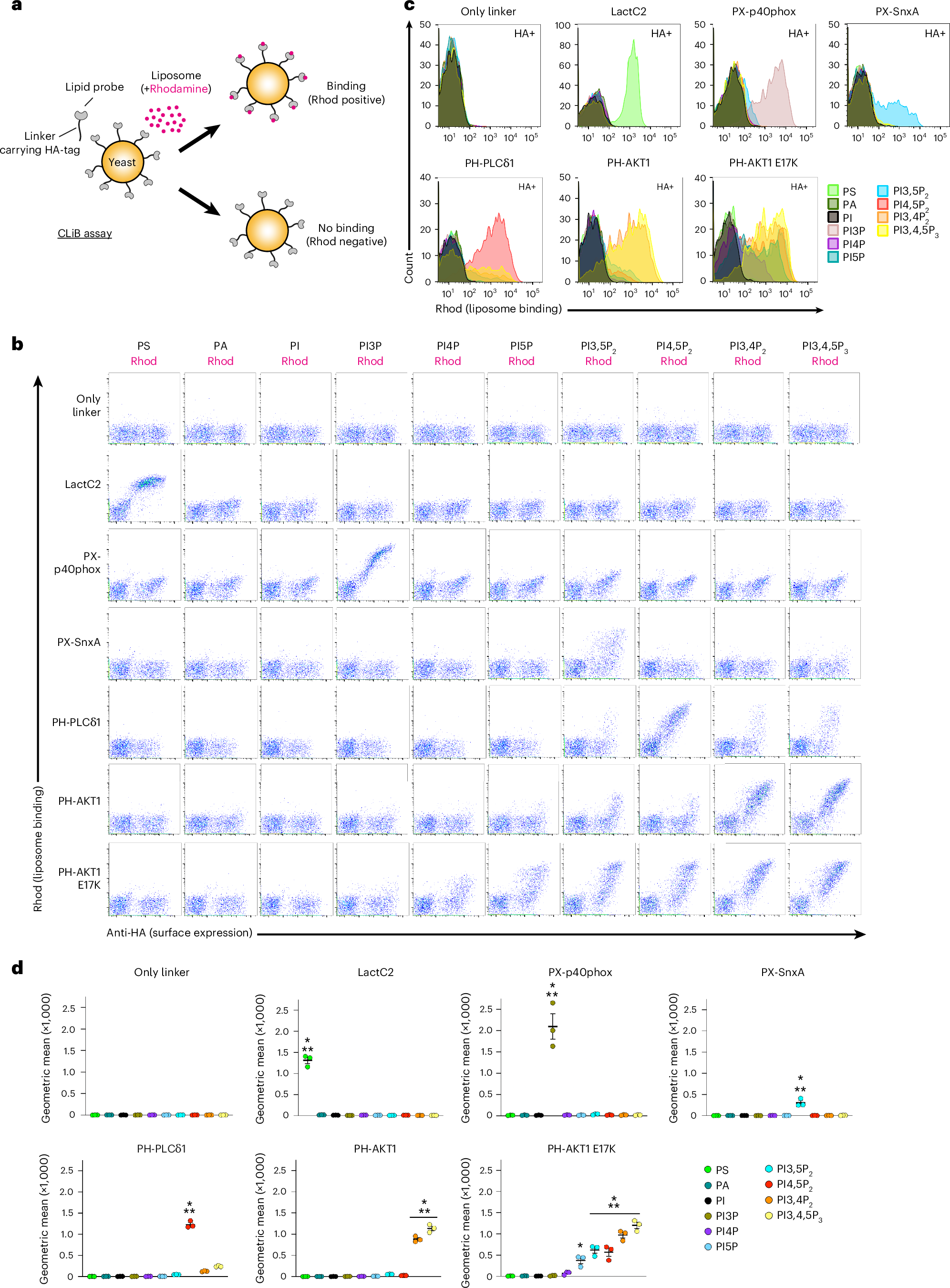 lipid panel basichep c ab ei w/conf scrn hi-res stock photography and images Basic recommendations for lipid profile