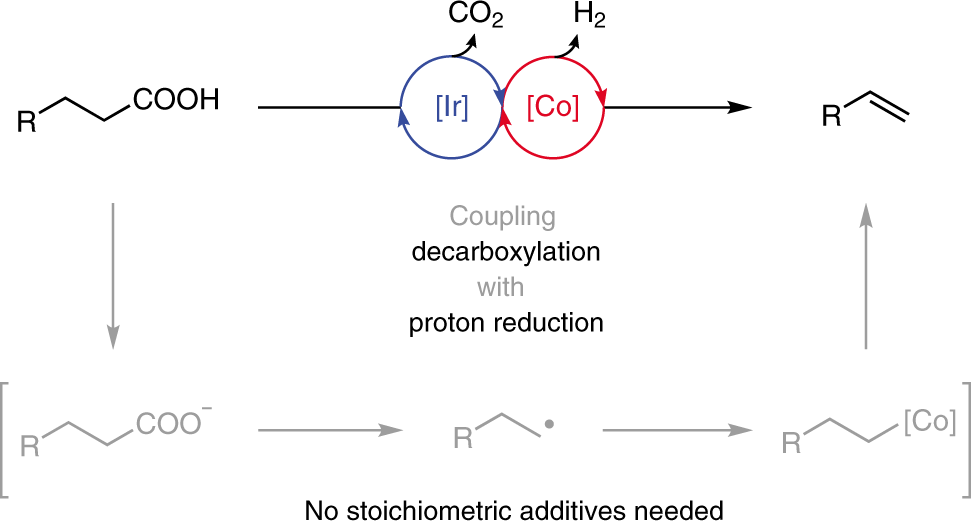 Separation and Catalysis of Carboxylates: Byproduct Reduction during the  Alkylation with Dimethyl Carbonate