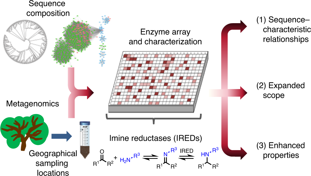 From nature to industry: Harnessing enzymes for biocatalysis