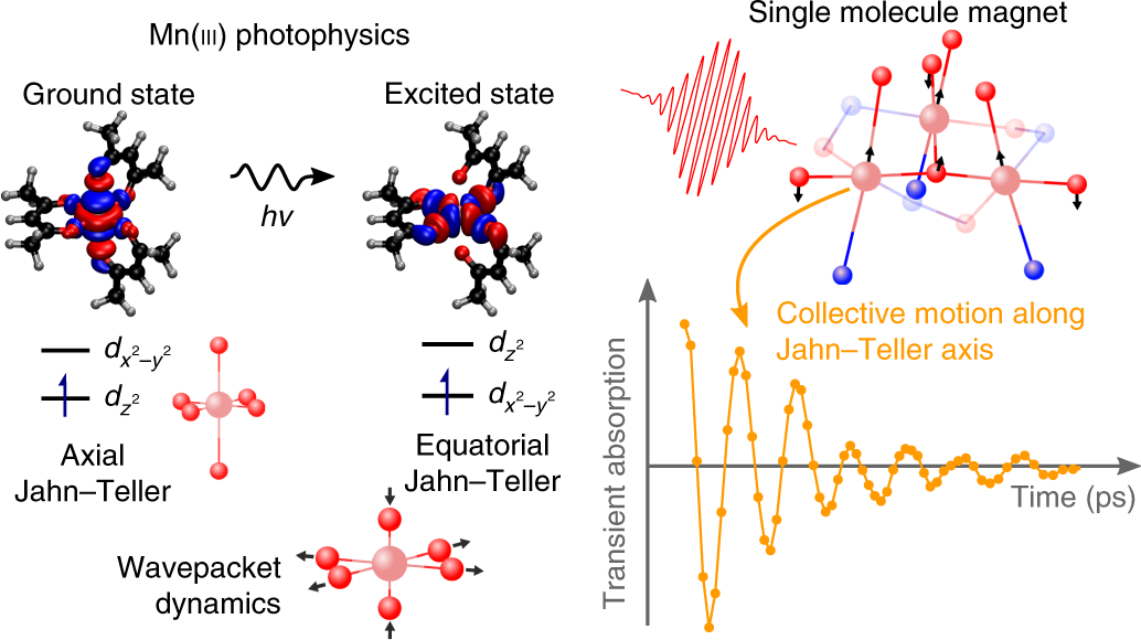 Vibrational coherences in manganese single-molecule magnets after ultrafast  photoexcitation | Nature Chemistry