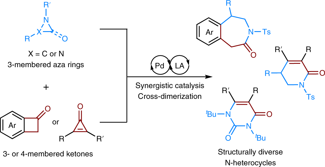 Draw the stepwise mechanism of hydrohalogenation of ethylenecyclopentane? |  Socratic