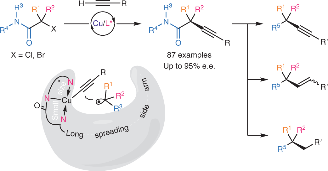 Mechanism Based Ligand Design For Copper Catalysed Enantioconvergent C Sp3 C Sp Cross Coupling Of Tertiary Electrophiles With Alkynes Nature Chemistry