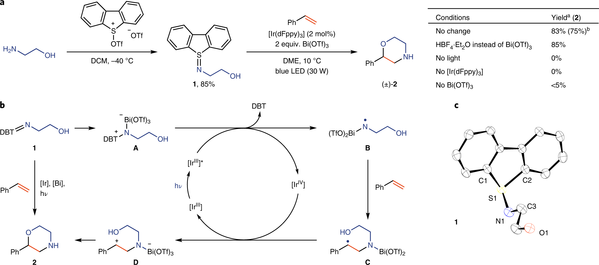 Fig. 2: Synthesis of sulfilimine 1, reaction optimization and proposed mechanism of the cyclization reaction.