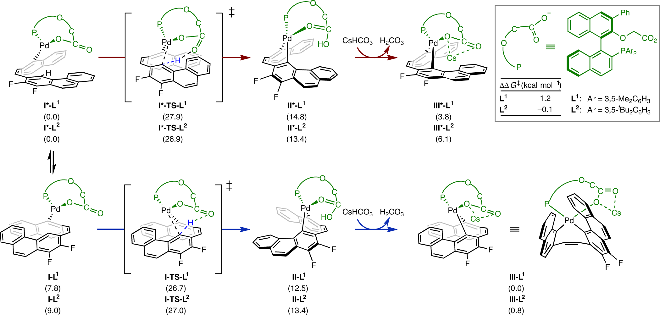 Fig. 4: Computed C–H activation pathways in the synthesis of carbohelicenes.