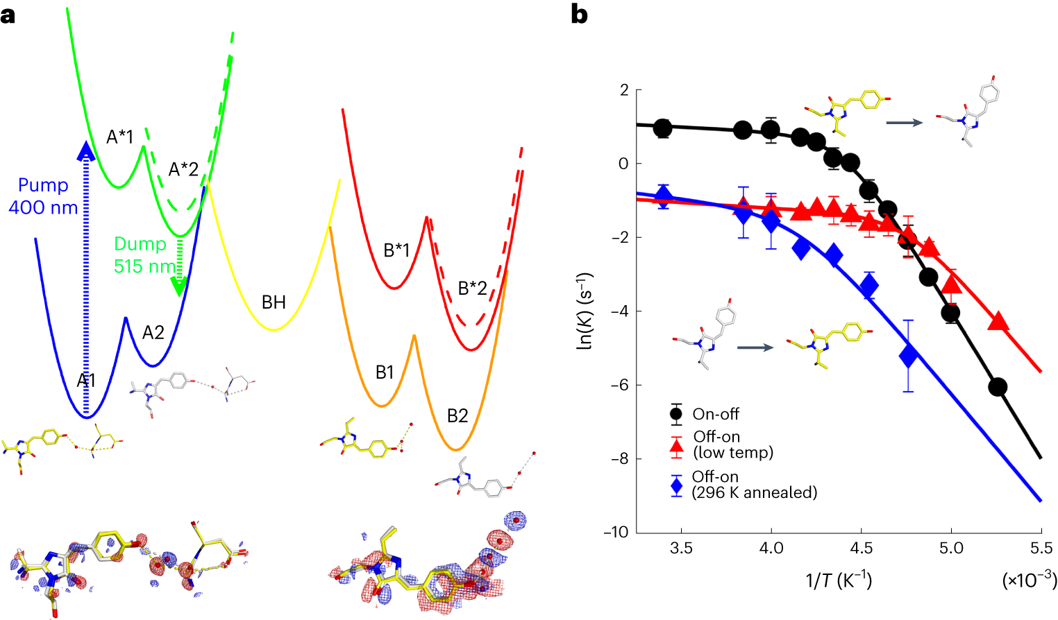 Fig. 5: Temperature dependence of trans(A)–cis(B) and cis(B)–trans(A) photoisomerization kinetics.