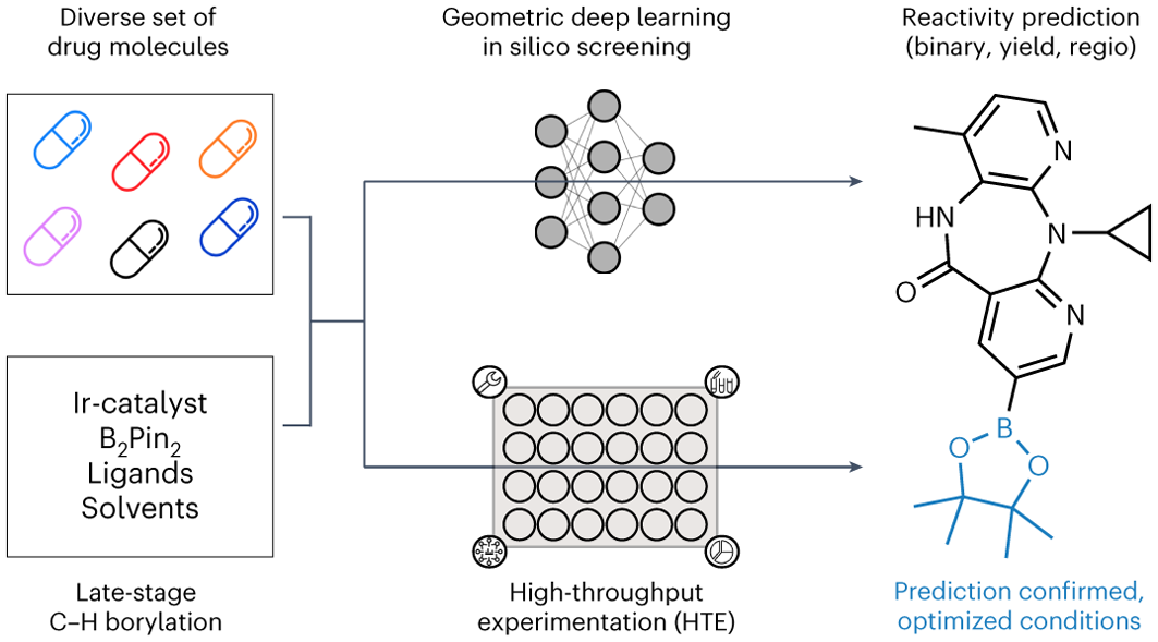 https://media.springernature.com/full/springer-static/image/art%3A10.1038%2Fs41557-023-01360-5/MediaObjects/41557_2023_1360_Figa_HTML.png