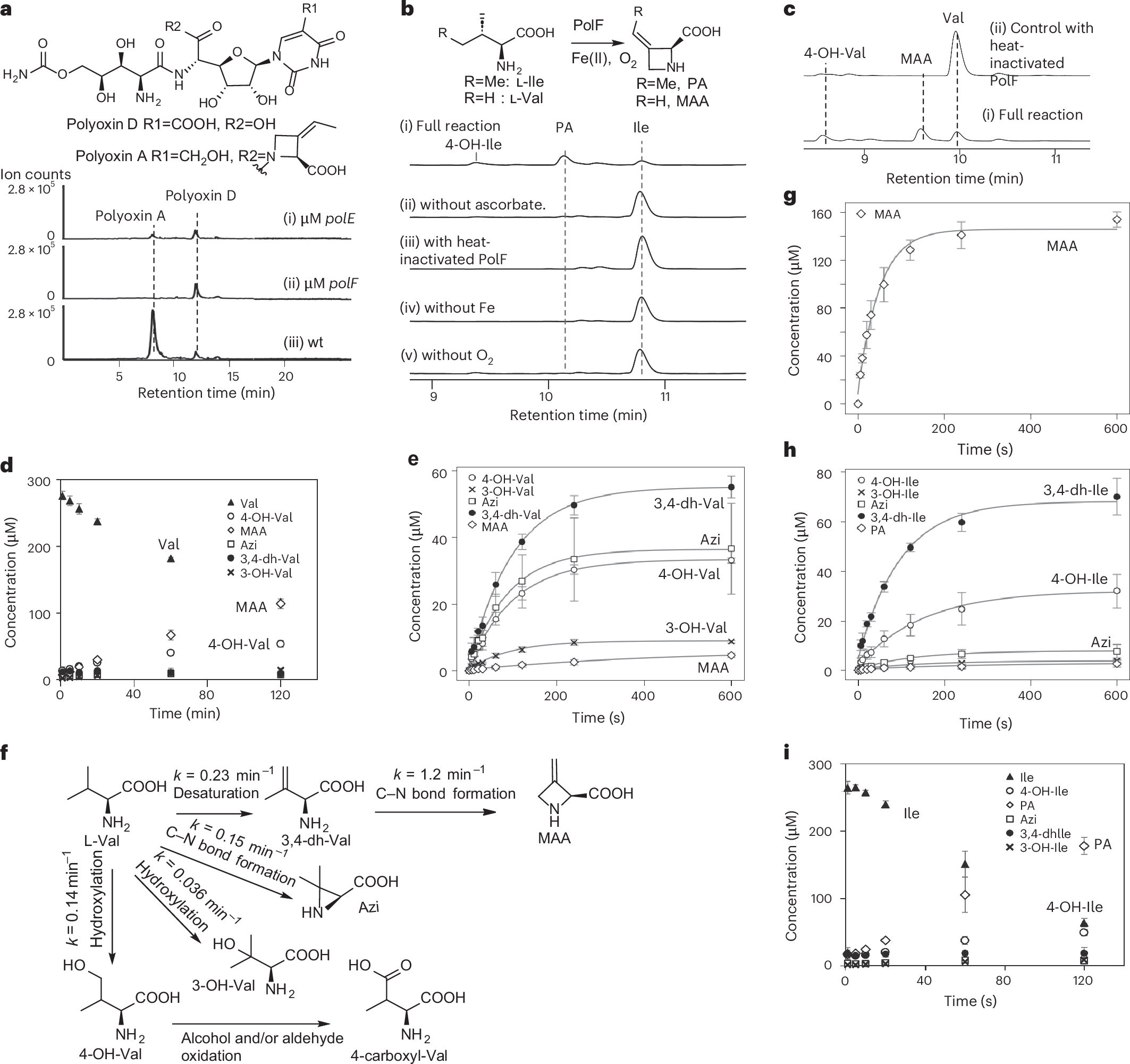 Fig. 1: Characterization of the PA biosynthesis.