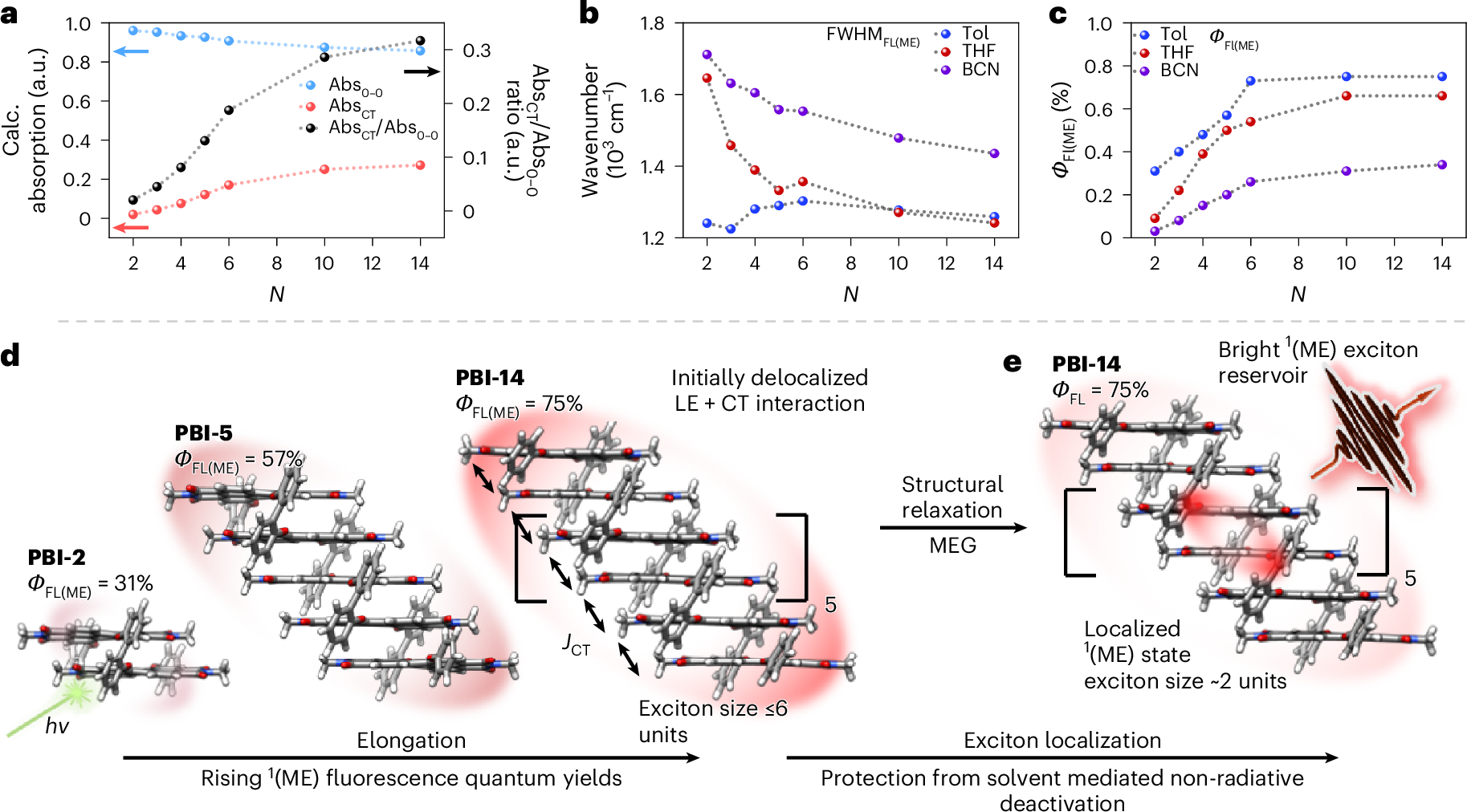 Fig. 4: Interpretation of exciton dynamics.